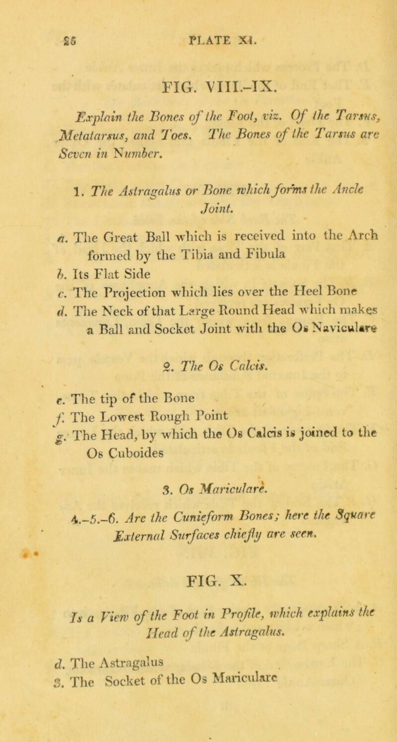 FIG. VIII.-IX. Explain the Bones of the Foot, viz. Of the. Tarsus, Metatarsus, and Toes. The Bones of the Tarsus arc Seven in umber. 1. The Astragalus or Bone which forms the Ancle Joint. a. The Great Ball which is received into the Arch formed by the Tibia and Fibula h. Its Flat Side c. The Projection which lies over the Heel Bone d. The Neck of that Large Bound Head which makes a Ball and Socket Joint with the Os Navicular* 2. The Os Caleis. c. The tip of the Bone f The Lowest Rough Point 'g. The Head, by which the Os Caleis is joined to the Os Cuboides 3. Os Mariculare. \.-5.-6. Arc the Cunieform Bones; here the Square External Surfaces chief y are seen. FIG. X. Js a View of the Foot in Profle, which explains the Head of the Astragalus. d. The Astragalus 3. The Socket of the Os Mariculare