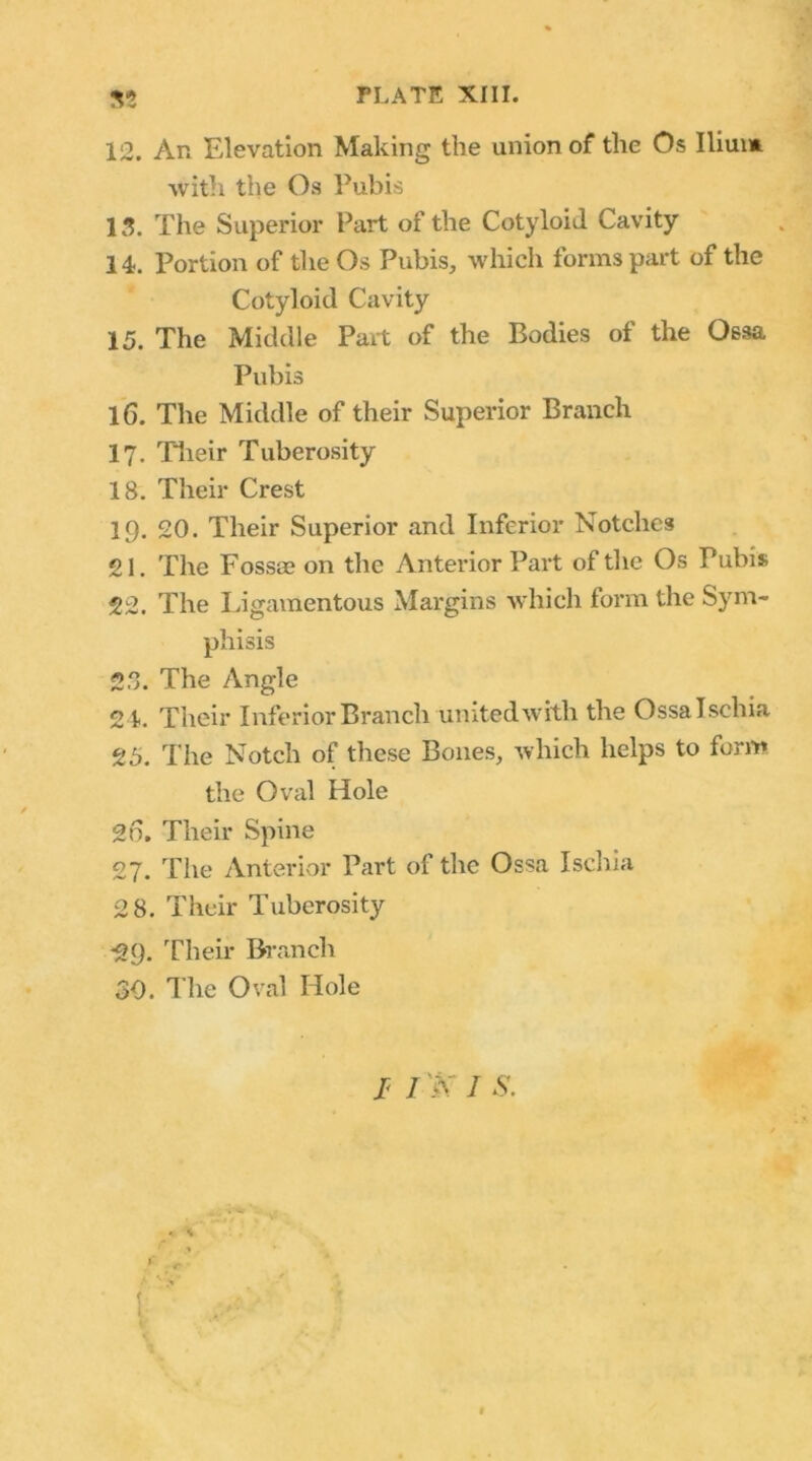 12. An Elevation Making the union of the Os Iliui* with the Os Pubis 13. The Superior Part of the Cotyloid Cavity 14. Portion of the Os Pubis, which forms part of the Cotyloid Cavity 15. The Middle Part of the Bodies of the Ossa Pubis 16. The Middle of their Superior Branch 17. Their Tuberosity 18. Their Crest 19. 20. Their Superior and Inferior Notches 21. The Fossae on the Anterior Part of the Os Pubis 22. The Ligamentous Margins which form the Sym- phisis 2”. The Angle 24. Their Inferior Branch unitedwith the Ossalschia 25. The Notch of these Bones, which helps to form the Oval Hole go. Their Spine 27. The Anterior Part of the Ossa Ischia 2 8. Their Tuberosity •29. Their Branch 30. The Oval Hole I< J.'iV / S.