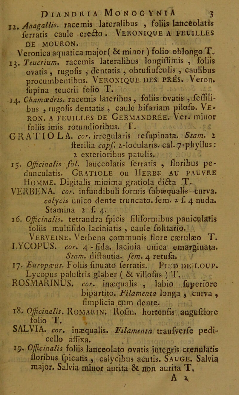 j,. Anagallis. raceinis lateralibus , foliis lanceolatis ferratis caule ereâo . Véronique a feuilles DE MOURON. Vcronica aquatica major( & minor ) folio oblongo T. 13. Teucrium. raceinis lateralibus longiflimis , foliis ovatis , rugofis , dentatis , obtufiufculis , caulibus procumbeutibus. Véronique DES PRÉS. Veron. fupina teucrii folio T. 14. Chamœdris. racemis lateribus, foliis ovatis , fefiîli- bus , rugofis dentatis , caule bifariam pilofo. Ve- ron. a feuilles de Germandrée. Ver. minor foliis imis rotundioribus. T. G R A T I O L A. cor. irregularis refupinata. Stam. l fterilia capf. 2-locularis. cal. 7*phyllus : 2 exterioribus patulis. 15. Officinales fol. lanceolatis ferratis , floribus pe- dunculatis. Gratiole ou Herbf. au pauvre Homme. Digitalis minima gratiola diâa T- VERBENA. cor. infundibuli formis fubæqualis curva. calycis unico dente truncato. fem. 2 f. 4 uuda. Stamina 2 f. 4. 16. Officinales, tetrandra fpicis filiformibus paniculatis foliis inultifido laciniatis , caule folitario. Verveine. Verbena communis flore cærulæo T. LYCOPUS. cor. 4 - fida. lacinia unica einarginata. Stam. diftantia. fem. 4 retufa. 17. Europœus. Foliis -finuàtô ferratis. PlED DE LOUP. Lycopus paluftris glaber ( Si villofus ) T. ROSMARINUS. cor. inæqualis , labio fuperiore bipartito. Filame/ita longa , curva , fimplicia cutn dente. ï8. Officinalis. Romarin. Rofm. hortenfis anguftiore folio T. SALVIA. cor. inæqualis. Filamenta tranfverfe pedi- cello affixa. iç). Officinalis foliis lanceolato ovatis integris crenulatis floribus fpicatis , calycibus acutis. Sauge. Salvia major. Salvia minor aurita St non aurita T, A *