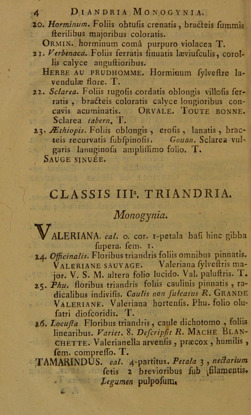 10. Horminum. Foliis obtufis crenatis, bracfeis fummîs fterilibus majoribus coloratis. Ormin.. horminum comâ purpuro violacea T. U. Verbenaca. Foliis ferratis finuatis læviufculis, corol- lis calyce anguftioribus. Herbe au prudhomme. Horminum fylveftre la- vendulæ flore. T. 11. Sclarea. Foliis rugohs cordatis oblongis villofis fer- ratis , braâeis coloratis calyce longioribus con- cavis acuminatis. Orvale. Toute bonne. Sclarea tabern. T. 13. Æthiopis. Foliis oblongis , erofis, lanatis, brac- teis recurvatis fubfpinofis. Gouan. Sclarea vul- garis lanuginofa ampliflîmo folio. T. Sauge sinuée. CLASSIS 11Ia. TRIANDRIA. Monogynia. Valeriana. cal. o. cor. i-petala bafi hinc gibba fupera. fem. 1. 14. Ofjicinalis. Floribus triandris foliis omnibus pinnatis. VALERIANE SAUVAGE. Valeriana fylveftris ma- jor. V. S. M. altéra folio lucido. Val. paluftris. T. 15. Phu. floribus triandris foliis cauliuis pinnatis , ra- diealibus indivifis. Caulis non fulcatus R. Grande Valériane. Valeriana hortenfis. Phu. folio olu- fatri diofcoridis. T. 16. Locufia Floribus triandris, caule dichotomo , foliis linearibus. Varier. 8. Defcripfit R. MACHE BLAN- CHETTE. Valerianella arvenfis , præcox , humilis , fem. compreffo. T. TAMARINDUS. cal. 4-partitus. Petala 3 , neclarium fetis 1 brevioribus fub ^filamentis. legumen pulpofum»