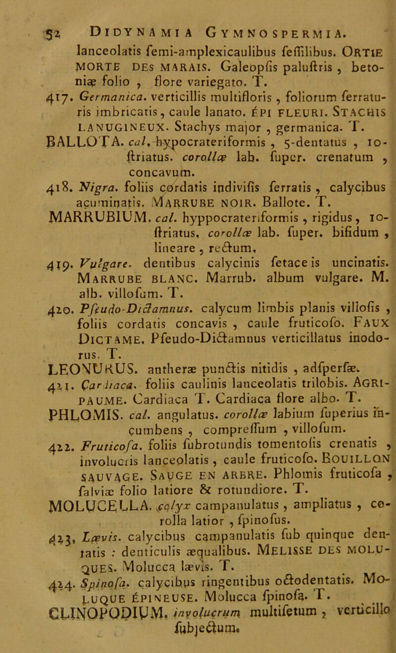 lanceolatis femi-amplexicaulibus feflilibus. Ortie MORTE des marais. Galeopfis paluftris , beto- niap folio , flore variegato. T. 417. Germanica. verticillis multifloris , foliorum ferratu- ris iinbricatis, caule lanato. épi fleuri. Stachis LANUGINEUX. Stachys major , germanica. T. BALLÛTA. cui.dryqjocrateriformis , 5-dentatus , 10- {Iriatus. coro.llae lab. fuper. crenatum , concavuta. 418. Nigra. foliis cdrdatis indivifis ferratis , calycibus açumirjatis. Marrube noir. Ballote. T. MARRUB1UM. cal. hyppocrateriformis , rigidus, 10- ftriatus, corolles lab. fuper. bifidum , lineare , re&um. 41:9. Vulgare. dentibus calycinis fetace is uncinatis. Marrube blanc. Marrub. album vulgare. M. alb. villofum. T. 420. Pfeudo-Diclamnus. calycum limbis planis vilîofis , foliis cordatis concavis , caule fruticofo. Faux Dictame. Pfeudo-Di&amnus verticillatus inodo- rus. T. LEOMUKUS. antheræ pundfis nitidis , adfperfæ. 421. Çardiaca. foliis caulinis lanceolatis trilobis. Agri- paume. Çardiaca T. Çardiaca flore albo. T. PHCOMIS. cal. angulatus. corolles labium fuperius i'n- çumbens , compreflum , villofum. 422. Fruticofa. foliis fubrotundis tomentolis crenatis , involucris lanceolatis, caule fruticofo. Bouillon sauvage. Sauge en arbre. Phlomis fruticofa , falviæ folio latiore & rotuudiore. T. tylOLUCECLA. ,cç/y.r campanulatus , ampliatus , ce- rolla latior , fpinofus. 423. Lasvis. calycibus campanulatis fub qninque den- tatis : denticulis æqualibus. MELISSE DES MOLU- ques. Molucca lævis. T. 424. Spinofa. çalycibns ringentibus o&odentatis. Mo- luque épineuse. Molucca fpinofa. T. CUNOPODIUM. inyolaçrun\ multifètum j verticillo fubjeftum.