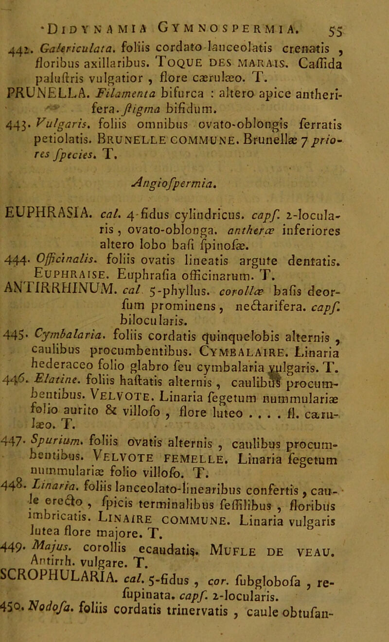 442. Ga/ericulata. foliis cordato lanceolatis crenatis , floribus axillaribus. Toque des marais. Caflida paluftris vulgatior , flore cærulæo. T. PRUNELLA. Filamenta bifurca : altero apice antheri- fera.ftigma bifidum. 443. Vulgaris. foliis omnibus ovato-oblongis ferratis petiolatis. Bru MELLE commune. Brunellæ 7 prio- res fpecies. T. Angiofpermia. EUPHRASIA. cal. 4 fidus cylindricus. capf. 2-IocuIa- ris, ovato-oblonga. antherœ inferiores altero lobo bail fpinofæ. 444. Officinales. foliis ovatis lineatis argufe dentatis. Euphraise. Euphrafia officinarum. T. AN TIRRHINUM. cal 5-phyllus. corolles bafis deor- fum prominens , ne&arifera. capf. bilocularis. 445. Cymbalaria. foliis cordatis quinquelobis alternis , caulibus procumbentibus. Cymbalaire. Linaria hederaceo folio glabro feu cymbalaria vulgaris. T. 446* Elatine. foliis haftatis alternis, caulibut procum- bentibus. Velvote. Linaria fegetum nummulariae folio aurito & villofo , flore luteo .... fl. caru- læo. T. 447. Spurium. foliis ovatis alternis , caulibus procum- bentibus. Velvote femelle. Linaria fegetum > nmnmuîariæ folio villofo. T. 448- Linaria. foliis Ianceolato-linearibus confertis , cau- je erecfo , fpicis terminalibus feflilibus , fl o ri b iis îmbricatis. Linaire commune. Linaria vulgaris Jutea flore majore. T. 449. Majus. corollis ecaudatis. Mufle de veau. Antirrh. vulgare. T. SCROPHULARIA. cal. 5-fîdus , cor. fubglobofa 7 re- fupinata. capf. 2-locularis. 45o* Fl 0 do fa. foliis cordatis trinervatis , caule obtufan-