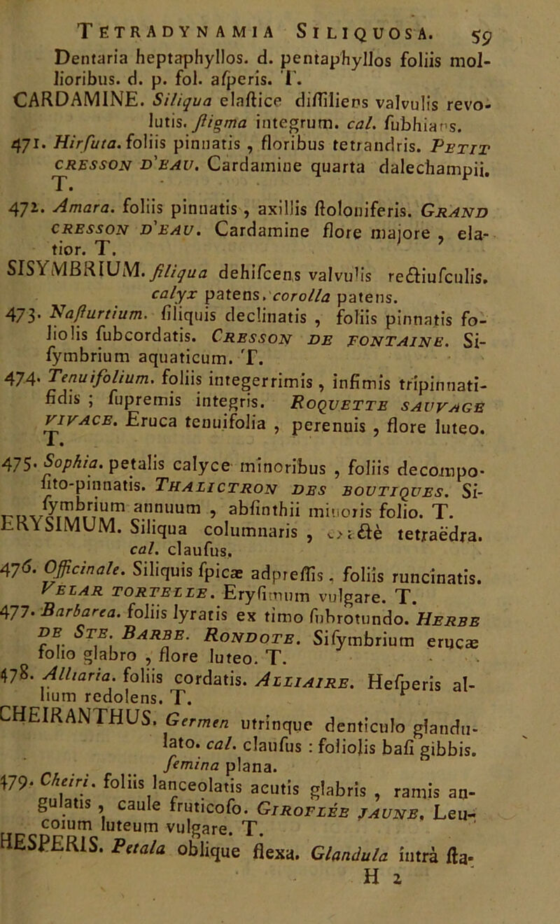 Dentaria heptaphyllos. d. pentaphyllos foliis mol- lioribus. d. p. fol. afperis. I'. CARDAMINE. Siliqua elnftice di/Tiliens valvulis revo- lutis. Jligma integrum. cal. fubhiaPs. 471. Hirfuta. foliis pinnatis , floribus tetrandris. Petit cresson d'eau. Cardamine quarta dalechampii. 1 '. 472. Amara. foliis pinnatis , axillis ftolouiferis. Grand cresson d'eau. Cardamine flore majore , da- tion T. SISYMBRtUM. filiqua dehifcens valvub’s redfiufculis. calyx païens, corolla pâte ns. 473. Naffurtium. filiquis declinatis , foliis pinnatis fo- lio lis fubcordatis. Cresson de fontaine. Si- fymbrium aquaticum. T. 474* Tenuifolium. foliis integerrimis, infîmis tripinuati- fîdis ; fupremis integris. Roquette sauvage vivace. Eruca tenuifolia , perenuis , flore luteo. 475- Sophia. petalis calyce minoribus , foliis decompo- fito-pinnatis. Thalictron des boutiques. Si- rDvfebu,7 atinuum , abfinthii minoris folio. T. ERYSIMUM. Siliqua columnaris , o;&è tetraëdra. cal. claufus. 47& Officinale. Siliquis fpicæ adprefîîs. foliis runcînatis. ezar tortelle. Eryfitnuin vulgare. T. 477- Barbarea. foliis lyratis ex timo fnbrotundo. Wrss de Ste Barbe. Rondote. Sifymbrium erucæ folio glabro , flore luteo. T. 478. Alharïa. foliis cordatis. Aliiaire. Hefperis al- bum redolens. T. CHEIRANTHUS. Germen utrinquc denticulo glatidu- lato. cal. claufus : foliojis bafi gibbis. femina plana. 479 folIis.laceolatis acil»îs glabris , ramis an- gu a îs , caule fruticofo. Giroflée jaune, Leu- coium luteutn vulgare. T. HESPER1S. Petala oblique flexa. Glandula îutrà fia-