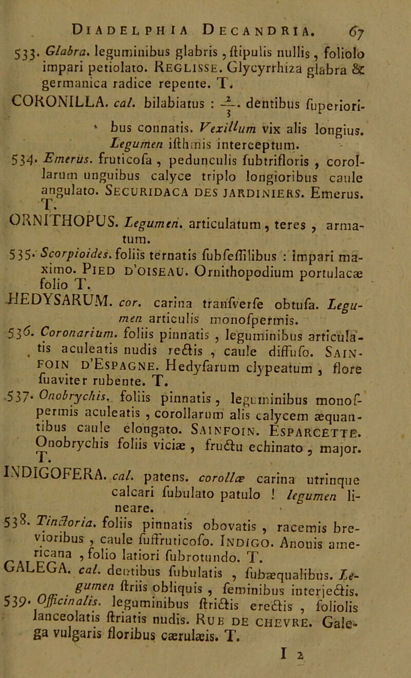 533. Glabra. leguminibus glabris , ftipulis nullis, foliolo impari petiolato. REGLISSE. Glycyrrhiza glabra & germanica radice repente. T. CORONILLA. cal. bilabiatus : denribus fuperiori- » bus connatis. VexiUum vix alis longius. Legumen ifthmis interceptum. 534‘ Emerus. fruticofa , pedunculis fubtrifloris , corol- larum unguibus calyce triplo longioribus caule angulato. SecüRIDACA des jardiniers. Emerus. T. ORN1THOPUS. Legumen. articulatum, teres , arma- tum. 535* Scorpioides. foliis ternatis fubfefîilibus : impari ma- ximo. Pied d’oiseau. Ornithopodium portulacæ folio T. HEDYSARUM. cor. carina tranfverfe obtufa. Legu- men articuüs monofpermis. 536. Coronarium. foliis pinnatis , leguminibus articula- . tis aculeatis nudis reftis , caule diffufo. Sain- foin d’Espagne. Hedyfarum clypeatum 3 flore fuaviter rubente. T. 537* Onobrychis. foliis pinnatis, leguminibus monof- permis aculeatis , corollarum alis calycem aequan- tibus caule elongato. Sainfoin. Esparcette. Onobrychis foliis viciæ , frudfu echinato , major. J. • INDIGOFERA. cal. patens. corollæ carina utrinque calcari fubulato patulo ! legumen li- neare. 538. Tincloria. foliis pinnatis obovatis , racemis bre- vionbus , caule fuffruticofo. Indigo. Anonis aine- r'c^na , folio latiori fubrotundo. T. GALEGA. cal. deiïtibus fubulatis , fubæqualibus. Le- na- ■ &umen °bliquis , feminibus interjeefis. 539- VJflcinalis. leguminibus ftriâis ereftis , foliolis Janceolatis ftriatis nudis. Rue de CHEVRE. Gale- ga vulgaris floribus cærulæis. T. I 2