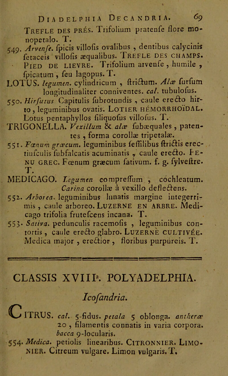 TREFLE DES PRÉS. Trifolium pratenfe flore mo- noperalo. T. 549. Arvenfe. fpicis villofis ovalibus , dentibus calycinis fetaceis villofis æqualibus. Trefle des champs. Pied de lievre. Trifolium arvenfe , humile , fpicatum , feu lagopus. T. LOTUS. legumcn. cylindricum , ftriTum. Alœ furfum longitudiualiter conniventes. cal. tubulofus. 550. Hirfutus Capitulis fubrotundis , caule ere&o hir- to , leguminibus ovatis. Lotier HÉMORRHOÏDAL. Lotus pentaphyllos filiquofus villofus. T. TRIGONELLA. Vexillum & alœ fubæquales , paten- tes , forma corollæ tripctalæ. 551. Fænum grœcum. leguminibus feflilibus ftri&is erec- tiufculis fubfalcatis acuminatis , caule ere&o. Pe- nü grec. Fænum græcum fativum. f. g. fylveftre. T. MEDICAGO. legumen compreffum , cochleatum. Carina corollæ à vexillo defleéfens. 55Z. Arboiea, leguminibus lunatis margine integerri- mis , caule arboreo. LUZERNE EN ARBRE. JVledi- cago trifolia frutefcens incana. T. 553- Saliva. pedunculis racemofis , leguminibus con- tortis, caule eredfo glabro. Luzerne CULTIVÉE. Medica major , ere&ior , floribus purpùreis. T. CLASSIS XVIII3. POLYADELPHIA. Icofandria. ITRUS. cal. 5-fidus. peiala 5 oblonga. antherœ 20 , filamentis connatis in varia corpora. bacca 9-locularis. 554. Medica. petiolis linearibus. Citronnier. Limo- nier. Citreum vulgare. Limon vulgaris. T. I