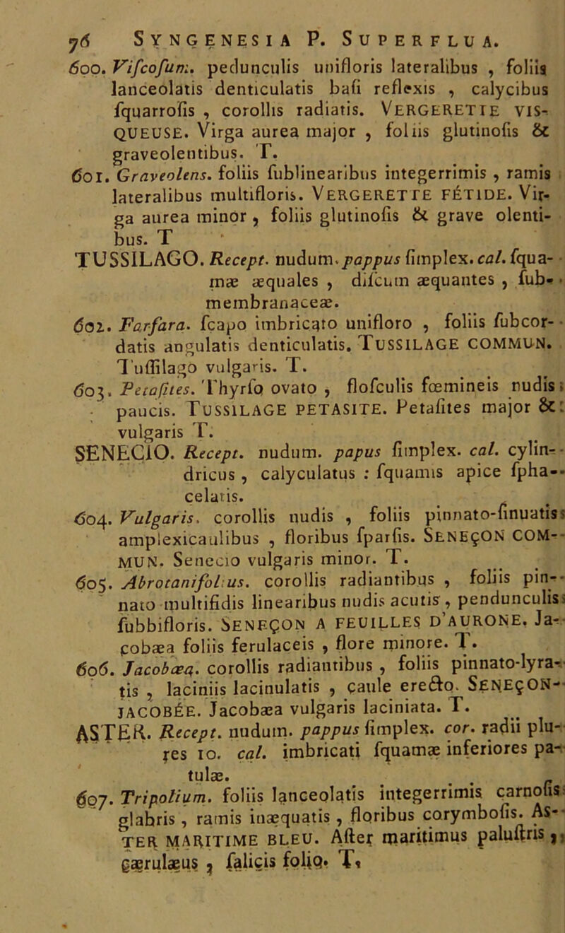 600. Vifcofum. pedunculis unifions lateralibus , foliis lanceolatis denticulatis ba(i reflexis , calycibus fquarrofis , corollis radiatis. VeRGERETIE vis^ QUEUSE. Virga aurea major , fol iis glutinofis & graveolentibus. T. (Soi. Graveolens. foliis fublinearibus integerrimis , ramis lateralibus multifloris. Vergerette fétide. Vir- ga aurea minor , foliis glutinofis &. grave olenti- bus. T TUSS1LAGO. Recept. nudum. pappus fimplex. cal. fqua- mæ aequales , drfcum æquantes , fub- membranaceæ. ôoi. Farfara. fcapo imbricato unifloro , foliis fubcor- datis angulatis denticulatis. TUSSILAGE COMMUN. Tuflilago vulgaris. T. 603. Petafîtes. Thyrlo ovato , flofculis fcemineis nudis; paucis. Tussilage petasite. Petafîtes major &: vulgaris T. SENECÎO. Recept. nudum. papus fimplex. cal. cylin- dricus, calyculatus : fquamis apice fpha-* celatis. 604. Vulgaris. corollis nudis , foliis pinnato-finuatiss amplexicaulibus , floribus fparfis. SeneçON COM- MUN. Senecio vulgaris minor. 1. 605. Abrotanifol us. corollis radiantibus , foliis pin— nato multifidis lineanbus midis acutis? pendunculis fubbifloris. bENF-ÇON a feuilles d’aurone. J a- ■ pobæa foliis ferulaceis , flore minore. 1. 606. Jacobœa,. corollis radiantibus , foliis pinnato-lyra- tis , laciniis lacinulatis , çaule ereôo. SfiNEçON- JACOBÉE. Jacobæa vulgaris laciniata. I. ASTfljK. Recept. nudum. pappus fimplex. cor. radii plu- ies 10. cal. imbricati fquamæ inferiores pa- tulæ. 607. Tripolium. foliis lanceolatis integerrimis çarnohs glabris, ramis inæquatis, floribus corymbofis. As- ter maritime bleu. Aller niaritimus paluilris 9. gærulæus , faliçis fofiq. Ti