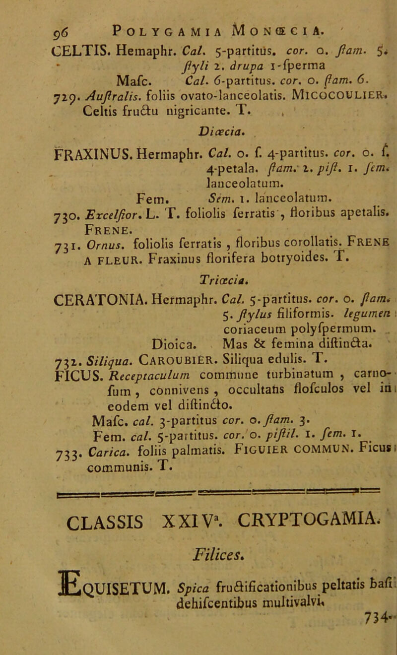 C)6 POLYGAMIA MûNffiClA. CELTIS. Hemaphr. Cal. 5-partitùs. cor. o. Jlam. 5* - fiyli 2. àrupa i-fperma Mafc. Cal. 6-partitus. cor. o. (lam. 6. 729. Aujlralis. foliis ovato-lanceolatis. MICOCOULIER. Celtis fru&u nigricante. T. , Diaecia. FRAXINUS. Hermaphr. Cal. o. f. 4-partitus. cor. o. £ 4-petala. (tara. 1. pijl. 1. fem. lauceolatum. Fetn. Sem. 1. lauceolatum. 750. Excelfior. L. I. foliolis ferratis ? lioribus apetalis. Frene. 731. Ornus. foliolis ferratis , floribus corollatis. FRENE A FLEUR- Fraxinus florifera botryoides. T. Triœcia. CERATONIA. Hermaphr. Cal. 5-partitus. cor. o. Jlam. 5. Jlylus filiformis. legumert coriaceum polyfpermum. Dioica. Mas & femina diftinâa. 732. Siliqua. CAROUBIER. Siliqua edulis. T. FICUS. Receptaculum commune turbinatum , caruo- fum , connivens , occultans flofculos vel in eodem vel diftindto. Mafc. cal. 3-partitus cor. o. Jlam. 3. Fem. cal. 5-partitus. cor. o. pijlil. 1. fem. I. 733. Carica. foliis palmatis. FiGUIER COMMUN. Ficus; communis. T. CLASSIS XXIV”. CRYPTOGAMIA. Filices. Equisetum. Spica fruftificationibus peltatis bafi dehifcentibus multivalvi. 734-