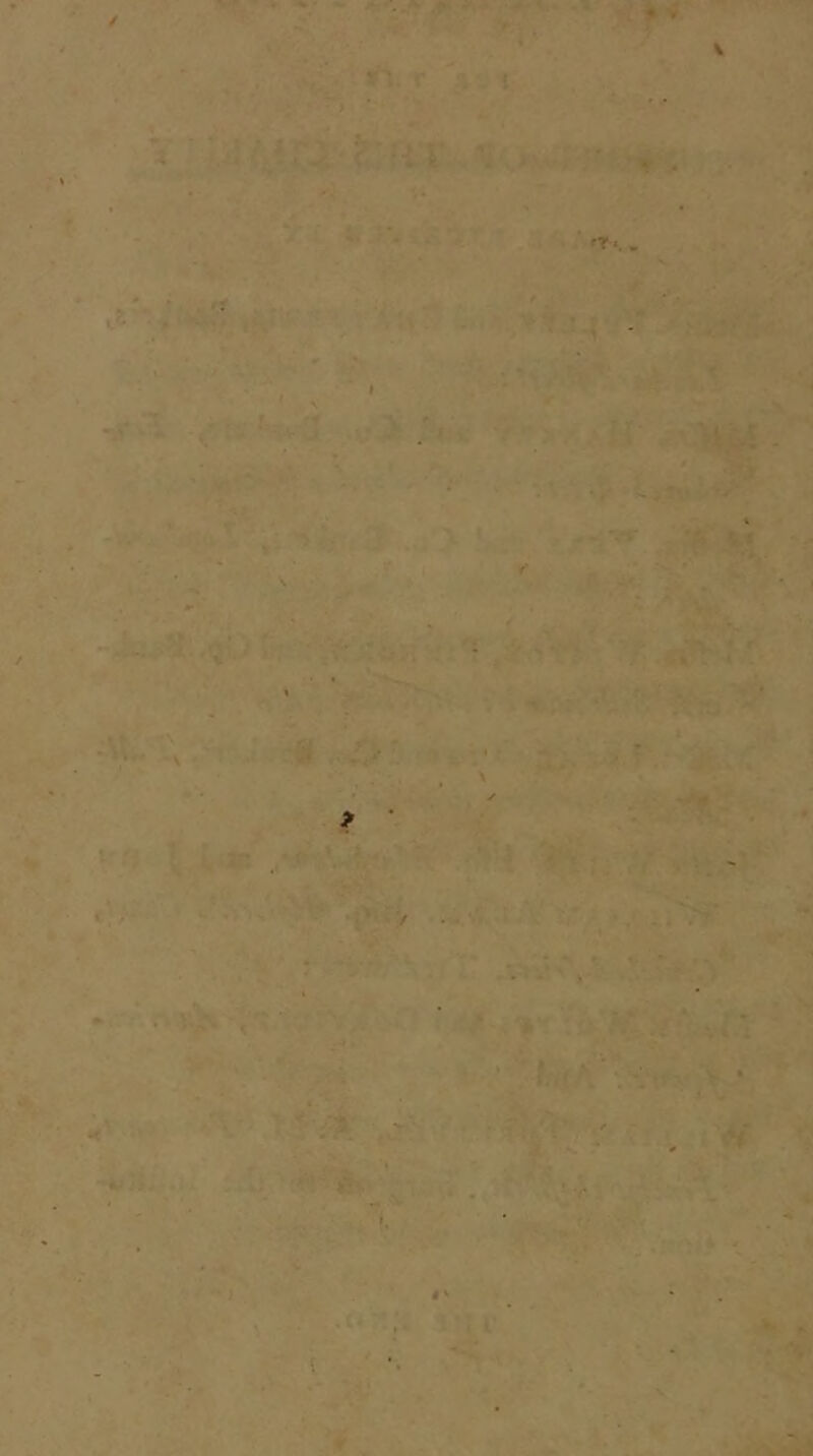 V .1 ♦ > fT *. ^ ■: ■• . ■ '>, .'■ ' . ’t- - ■' ■•■ • - V ' '.^ •.V ■ Vw . . s - ^ % . ry.. f . ‘\ '¥\: :. -y ■■■ ' y ' L? ■ik y ■• u *'. * - .w .... \ • • r ‘ '■ ■ ‘ I •■ w