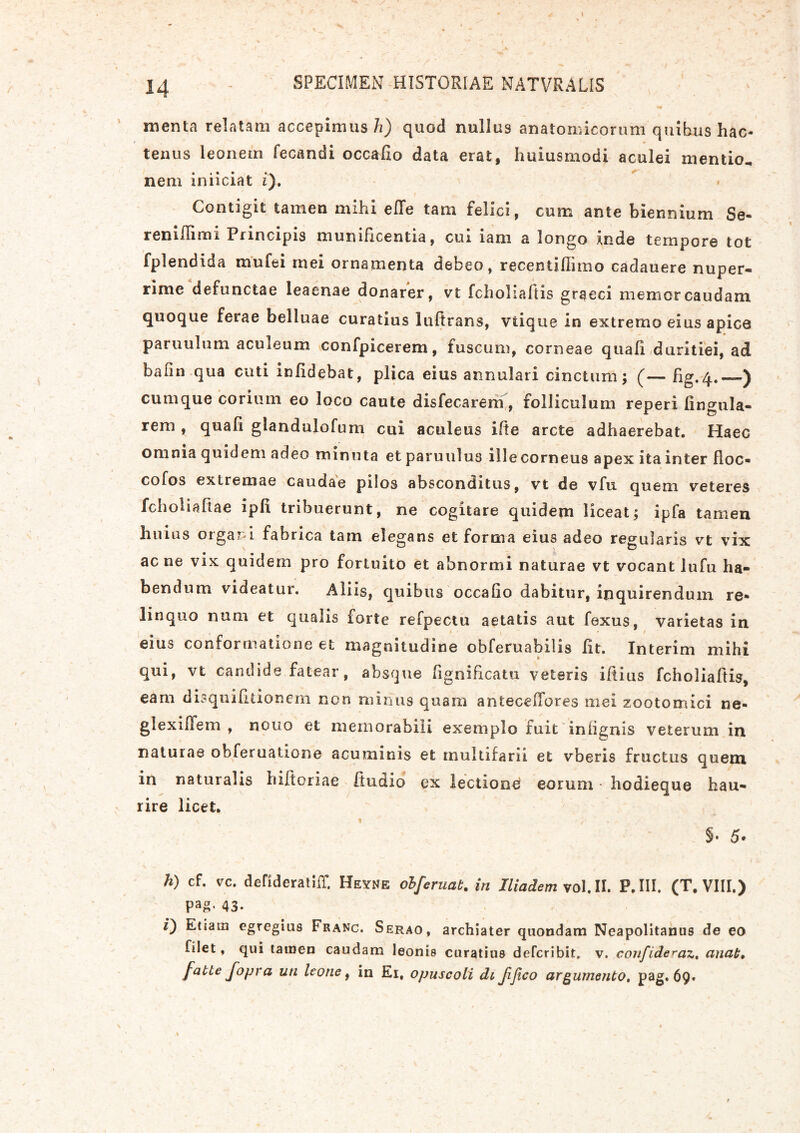 menta relatam accepimus h) quod nullus anatomicorum quibus hac- tenus leonem fecandi occafio data erat, huiusmodi aculei mentio, nem iniiciat i). Contigit tamen mihi ede tam felici, cum ante biennium Se- renifliou Principis munificentia, cui lam a longo rude tempore tot fplendida mufei mei ornamenta debeo, recentidimo cadauere nuper- rime defunctae leaenae donarer, vt fcholiafiis graeci memor caudam quoque ferae beiluae curatius luftrans, vtique in extremo eius apice paruulum aculeum confpicerem, fuscum, corneae quali duritiei, ad bafin qua cuti inlidebat, plica eius annulari cinctum; (— hg. 4. ) cumque corium eo loco caute disfecarem, folliculum reperi lingula- rem , quali glandulofum cui aculeus ifte arcte adhaerebat. Haec omnia quidem adeo minuta et paruulus ille corneus apex ita inter Hoc- cofos extremae caudae pilos absconditus, vt de vfu quem veteres fcholiaftae ipli tribuerunt, ne cogitare quidem liceat; ipfa tamen huius organi fabrica tam elegans et forma eius adeo regularis vt vix ac ne vix quidem pro fortuito et abnormi naturae vt vocant lufu ha- bendum videatur. Aliis, quibus occalio dabitur, inquirendum re* linquo num et qualis forte refpectu aetatis aut fexus, varietas in eius conformatione et magnitudine obferuabilis lit. Interim mihi qui, vt candide fatear, absque lignificatu veteris iftius fcholiaftis, eam disquilitionem non mimis quam antecederes mei zootomici ne- glexiffem , nono et memorabili exemplo fuit iniignis veterum in naturae obferuatione acuminis et multifarii et vberis fructus quem in naturalis hiftoriae ftudio ex lectione eorum hodieque hau- rire licet. $• 5- h) cf. vc. defideraliff. Heyne obferuab. in Iliadem vol. II. P. III. (T. VIII.) Pag’ 43. 0 egregius Franc. Serao, archiater quondam Neapolitanus de eo Hiet, qui tatnen caudam leonis curatius defcribilt, v. confideraz, anab. fabte Jopra uti leone, in Ei, opuscoli di fifico argumento, pag. 69»
