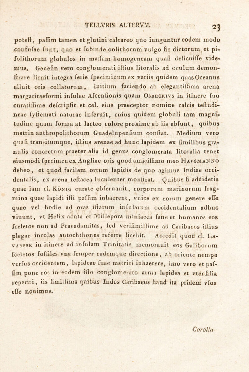 potefi, palTim tarnen etglutini calcareo qüo iunguntur eodem modo confufae funt, quo et fubinde oolithorum vulgo ßc dictorum,et pi- folithorum globulos in mafTam homogeneam quafi delicuilTe vide« mu8, Genefin vero conglomerati ißius Jitoralis ad oculum demon- lirare licuit Integra ferie fpeciminiim ex variis quidem quasOceanus aliuit oris collatonim, initium faciendo ab elegantiilima arena margaritaeformi infulae Afcenfionis quam Osbeckivs in itinere fuo curaliHime defcripfit et cel. eius praeceptor nomine calcis teftudi- neae fyßemati naturae inferuit, cuius quidem globuli tarn magni- tudine quam forma at lacteo colore proxime ab iis abfunt, quibus matrix anthropolithorum Guadelupenfiurn conftat. Medium vero quaß transitumque, iftius arenae ad hunc lapidem ex fimilibus gra- nulis concretum praeter alia id genus conglomerata litoralia tenet eiusmodi fpecimenex Angliae oris quod amicilßmo meo Havsmanno debeo, et quod facilem ortum lapidis de quo agimus Indiae occi- dentalis, ex arena teßacea luculenter monürat. Quibus fi addideris quae iam cl. König curate obferuauit, corporum marinorum frag- mina quae lapidi ifti pafßm inbaerent, vnice ex eorum genere efle quae vel hodie ad oras iltarum infularum occidentalium adhuc viuunt, vt Helix acuta et Millepora miniacea fane et humanos eos fcelelos non ad Praeadamitas, fed verifimillime ad Caribaeos Utius plagae incolas autochthones referre licehir. Accedit quod cl. La- VAYSSE in itinere ad infulam Trinitatis memorauit eos Galiborum fceletos forßles vna femper eademque directione, ab Oriente nempö verfus occidentem , lapideae fuae matrici inhaerere, imo vero et paf- fim pone eos in eodem illo oonglomerato arma lapidea et vtenßlia reperiri, iis fimiiiima quibus Indos Caribaeos haud ita pridem vfos eile nouimus# Corolla-