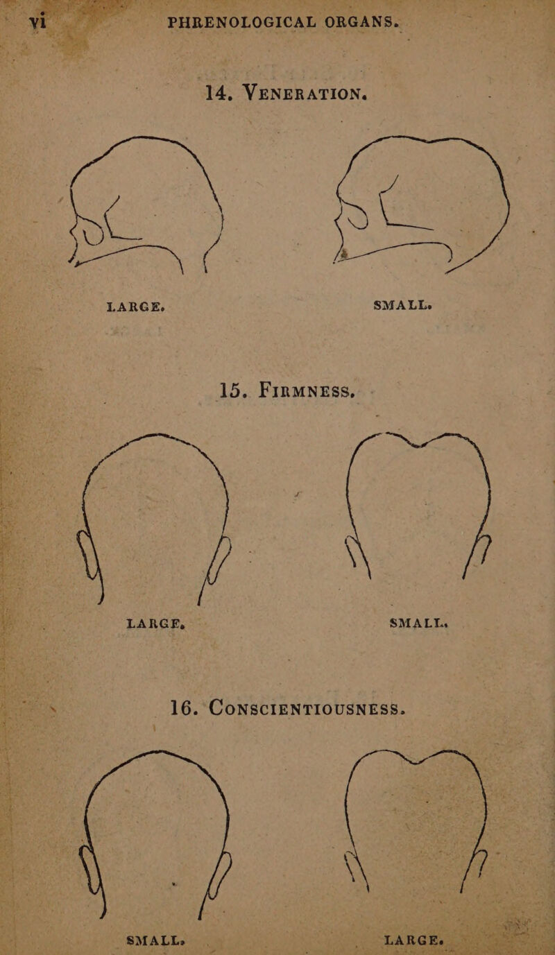 Aor ‘4.9 14, VENERATION. IGE x . LARGE, i SMALL, | _ 16. ConsciENTIOUSNESS.