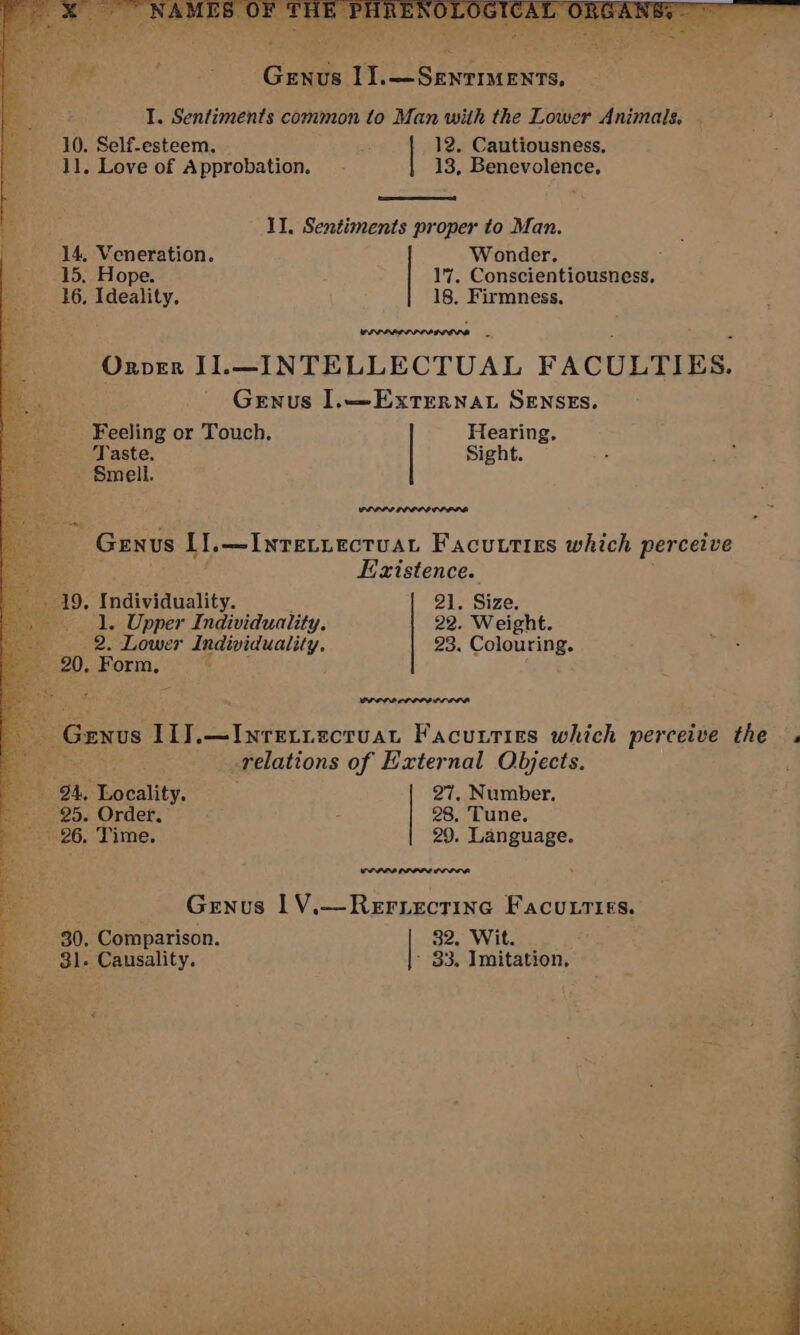 Geyes 1].—Senrmmenrs, | I. Sentiments common to Man with the Lower Animals, . 10. Self-esteem. # 12. Cautiousness, 11. Love of Approbation. - 13, Benevolence, II. Sentiments proper to Man. 14, Veneration. Wonder. ’ _ 15. Hope. 17. Conscientiousness, 16, Ideality. 18. Firmness., Ornver I]L—INTELLECTUAL FACULTIES. Genus ].—ExtTEernat SENSES. Feeling or Touch. Hearing, ~~ Taste. Sight. ‘Smell. Genus {].—Inretiectuat Facuttizs which perceive Existence. 9, Individuality. 21. Size. 1. Upper Individuality. 22. Weight. ; 2. Lower dndividuality. 23. Colouring. 0. Porp. ; jENus Ill. Breuer dor at Facutties which perceive the relations of External Objects. 27, Number, 28, . Tune, 29, Language. ‘Goality: 5. Order. 26, Time. WOrne nrrrenrroen Genus 1V.—Reryectine Facutries. - 30. Comparison. 32, Wit. “4 381. Causality. ~ 33. Imitation,