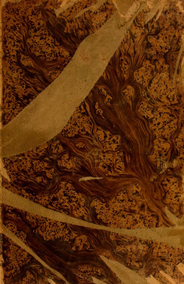 No text description is available for this image