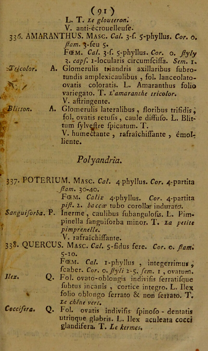 (90 L. T. le glouteron. V. anti-écrouelleufe. 336. AMARANTHUS. Masc. Cal. 3-f. 5-phyIlus. Cor. 0. fiam. 5*feu 5. Fœm. Cal. 3-f. 5-phyllus. Cor. o. fiyly 3. capf. i-locularis circumfciiïa. Sem. 1. A. Glomerulis twandris axillaribus fubro- tundis amplexicaulibus , fol. lanceolato- ovatis coloratis. L. Amaranthus folio variegato. T. l'amaranthe tricolor. V. aftringente. A. Glomerulis lateralibus , floribus trifidis^ fob ovatis retufis, caule diffufo. L. Blit- tum fylveftre fpicatum. T. y. humedtante , rafraîchiflante , émol- liente. Polyandria. < ' 337. POTERIUM. Masc. Cal. 4 phyllus. Cor. 4-partita _Jlam. 30-40. Fœm. Calix 4-phylIus. Cor. 4-partita pifl. 2. baccœ tubo corollæ indirrafc?. ; Sanguiforba. P. Inerme , caulibus fubangulofis. L. Pim- pinella iangniforba minor. T. la petite 1 pimprenelle. V. rafraîchiflante. 338. QUERCUS. Masc. Cal. 5-fidus fere. Cor. o. flami 5-ïo. Fœm. Cal. i-phyllus , intcgerrimuf, fcaber. Cor. o. Jlyli 2-5. fcm. 1 , ovatum. Q. Fol. ovato-oblongis indivifis ierratifque fubtus incanis , cortice integro. L. llex folio oblongo ferrato &. non ferrato. T, le chêne vert. Q. Fol. ovatis indivifis fpinofo - dentatis utrinque glabris. L, llex aculeata cocci glandifera. T. Le kermes% llex. \  ^Frjcolor. , B lit ton. t
