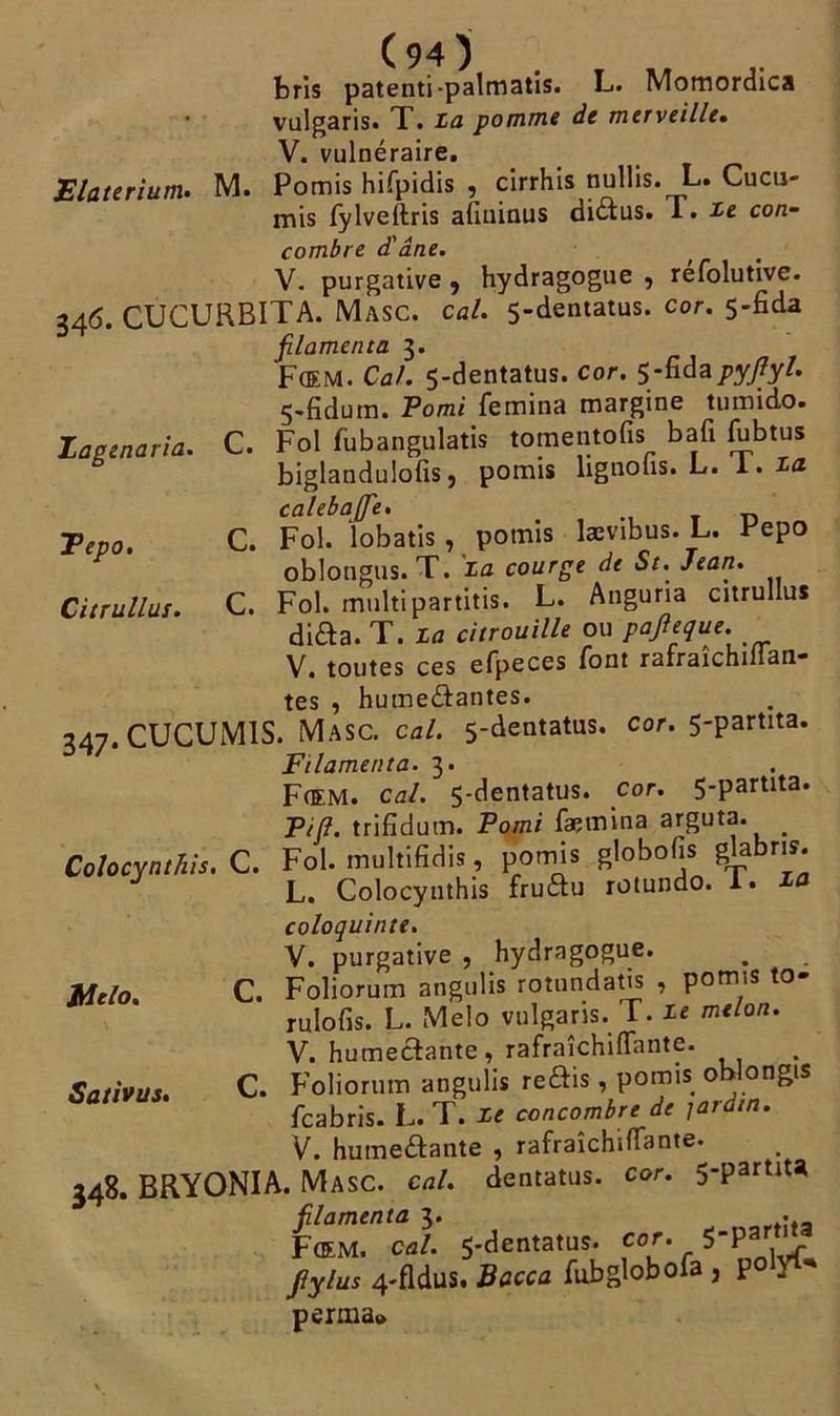 bris patenti -palmatis. L. Momordica vulgaris. T. La pomme de merveille. V. vulnéraire. Elaterium. M. Pomis hifpidis , cirrhis nullis. L. Cucu- mis fylveftris afiuinus dicius. I. Le con- combre d'âne. V. purgative , hydragogue , réfolutive. 346. CUCURBITA. Masc. cal. 5-dentatus. cor. 5-fida filamenta 3. F(EM. Cal. 5-dentatus. cor. 5-fidapyfiyl- 5-fidum. Vomi femina margine tumido. Zagenaria. C. Fol fubangulatis tomentofis bafi jubtus biglandulofisj pomis lignons. L. L. La caleba[fe. Tepo. C. Fol. lobatis, pomis lævibus. L. Pepo oblongus. T. La courge de Se. Jean. Citrullus. C. Fol. rnultipartitis. L. Anguria citrullus difta. T. La citrouille ou pafieque. V. toutes ces efpeces font rafraîchilian- tes , hume&antes. 347. CUCUM1S. Masc. cal. 5-dentatus. cor. 5-partita. Filamenta. 3. F (EM. cal. 5-dentatus. cor. 5-partita. Pi fi. trifidum. Vomi fæmina arguta. . Colocynthis. C. Fol. multifidis, pomis globofis glabris. L. Colocynthis fruftu rotundo. 1. La coloquinte. Y. purgative , hydragogue. Mclo. C. Foliorum angulis rotundatis , pomis to- rulofis. L. Melo vulgaris. T. Le melon. V. humectante, rafraîchiffante. Sativus. C. Foliorum angulis reftis, pomis oblongis fcabris. L. T. Le concombre de jardin. V. humeâante , rafraîchiffante. 348. BRYONIA. Masc. cal. dentatus. cor. 5-partita filamenta 3. . F(EM. cal. 5-dentatus. cor. 5Part Jlylus 4-fldus. Bacca fubglobofa , ?o\yi* perma»