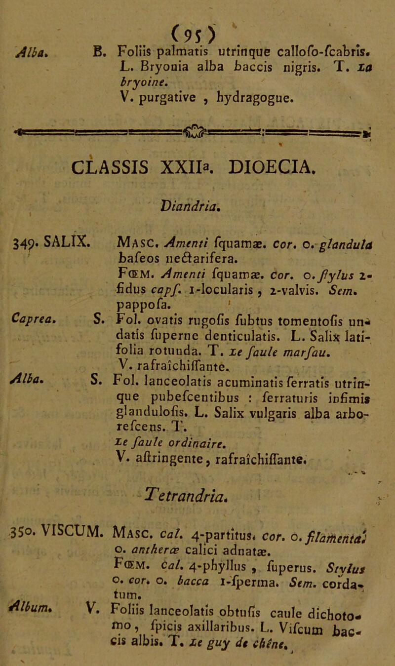 Alla* (90 B. Foliis palmatis utrinque callofo-fcabrîs. L. Bryouia alba baccis nigris. T. la bryoine. V. purgative , hydragogue. * CLASSIS XXIR DIOECIA. Viandria. Masc, Amenti fquamæ. cor. o. glandula bafeos neâarifera. Fœm. Amenti fquamæ. cor. o.fylus z- fidus capf. i-locularis , z-valvis. Sern. pappofa. Foi. ovatis rugofis fubtus tomentofis un-* datis fuperne denticulatis. L. Salix lati- folia rotunda. T. ze faule marfau. V. rafraîchifiante. Fol. lanceolatis acuminatis ferratîs utrirr- que pubefcentibus : ferraturis iufimi* glandulofîs. L. Salix vulgaris alba arbo- re fce ns. T. Ze faute ordinaire. V. aftringente, rafraîchifîante. Tetrandria. 349. SALIX. Caprea. S. Alba. S. 3So. VISCUM. Album. V. Masc. cal. 4-partitus* cor. 0. filamentet* o. antherœ calici adnatæ. Fœm. cal. 4-phyllus , fuperus. Stylus o. cor* o. bacca i-iperma. Sem. corda* tum. Foliis lanceolatis obtufîs caule dichoto- mo, fpicis axillaribus. L. Vifcum bac- cis albis. T. ze guy de chêne.