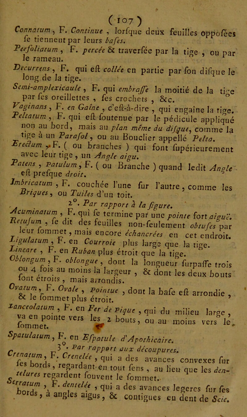 / ( 107 ) Connatum, F. Continue , lorfque deux feuilles oppofées le tiennent par leurs bafes. Perfoliatum , F. percée & traverfée par la tige , ou par le rameau. Decurrens , F. qui eft collée en partie par fon difque le long de la tige. Semi-amplexicaule , F. qui embrajj'e la moitié de la ti-e parfes oreillettes , fes crochets , &c. Va g inans , F. en Gaine , c’eft-à-dire , qui engaîne la tige. Peltatum , F. qui eft foutenue par le pédicule appliqué non au bord, mais au plan même du difqut, comme la tige à un Parafol, ou au Bouclier appellé Pelta. reclum y F. ( ou branches ) qui font fupérieurement avec leur tige , un Angle aigu. Païens , Patulum, F. ( ou Branche ) quand ledit Angle eft prefque droit. 6 Imbncatum , F. couchée l’une fur l’autre, comme les Briques, ou Tuiles d’un toit. . , ^ * P^f rapport a la figure. Acuminatum , F. qui fe termine par une pointe fort aiguë. Petujum , fe dit des feuilles non-feulement obtufes par leur fommet, mais encore échangées en cet endroit. Ligulatum , b. en Courroie plus large que la tige. Tineare , b. en Ruban plus étroit que la tige. ^ blongum,F. oblongue dont la longueur furpafTe trois ou 4 fois au moins la largeur , & dont les deux bouts tout étroits, mais arrondis. Cl frTr F‘ °Val\ ’ p,ointue > dont la tafe eft arrondie , oc le fommet plus étroit. ’ F- en l\ de ï*u' ’ <!' milieu large , fommet 111 C VÊrS ’ ^outs t ou au moins vers le, Spatulamm , F. e„ Effatule à'Apothicaire. 3 • Par rapport aux découpures. F‘ Crene!ée ’ <ïui a des avances convexes fur telr ’ refrdarnte” tout fens , au lieu que les telures regardent fouvent le fommet. 'boîd? F* de.ntel(‘ > <Iui a des avances légères fur fes ? a angles aigus, & contiguës eu dent de Scie.