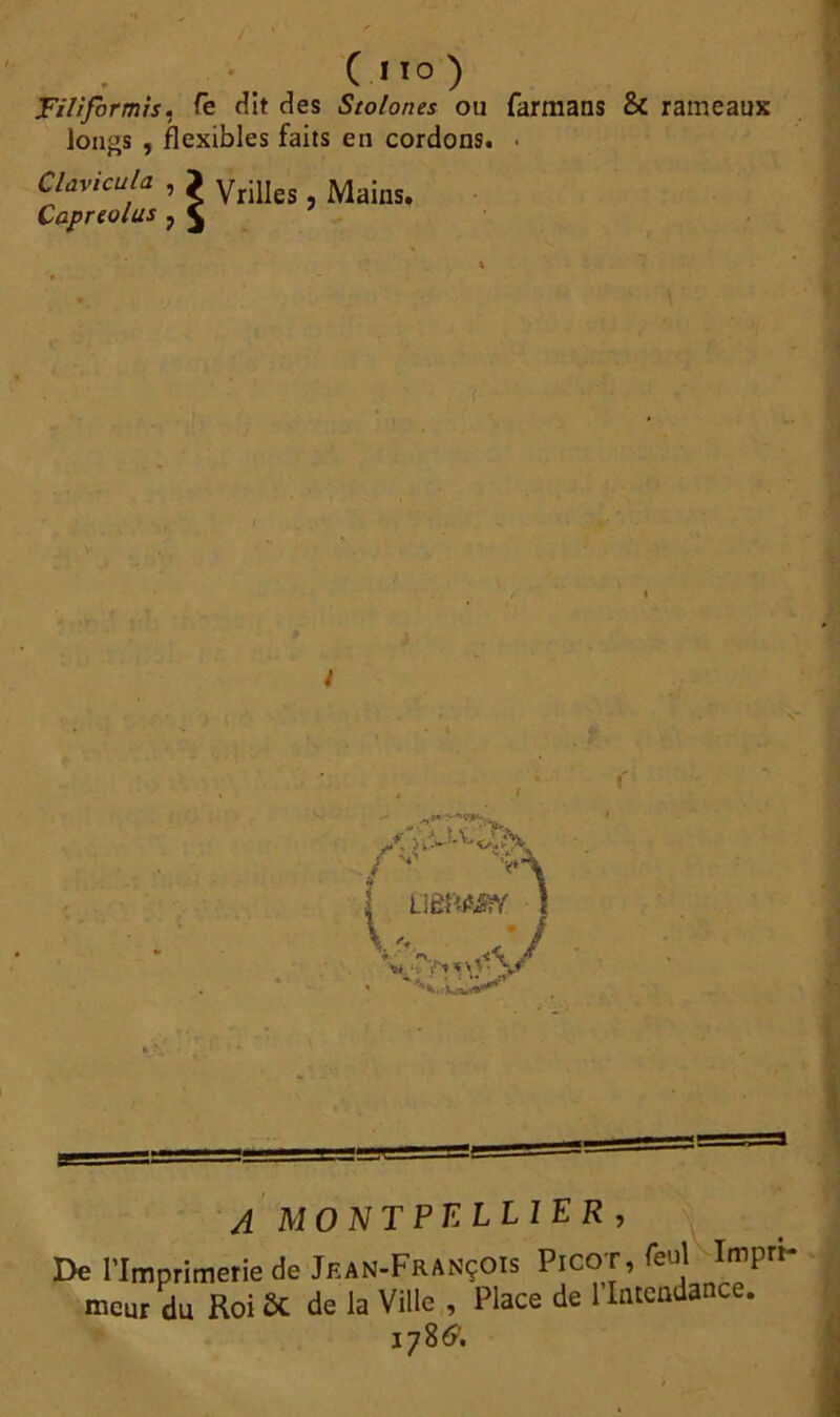 C MO) Filifirmis, fe cîit des Sto/ones ou farmans & rameaux longs , flexibles faits en cordons. • Clavicula , > yrillcs MainSi ÇapTtolus ^ J /s*' a LiÈPAâ’iY j A MONTPELLIER, De l’Imprimerie de Jean-François Picor, feul Impri meur du Roi & de la Ville , Place de l’Intendance. 178&