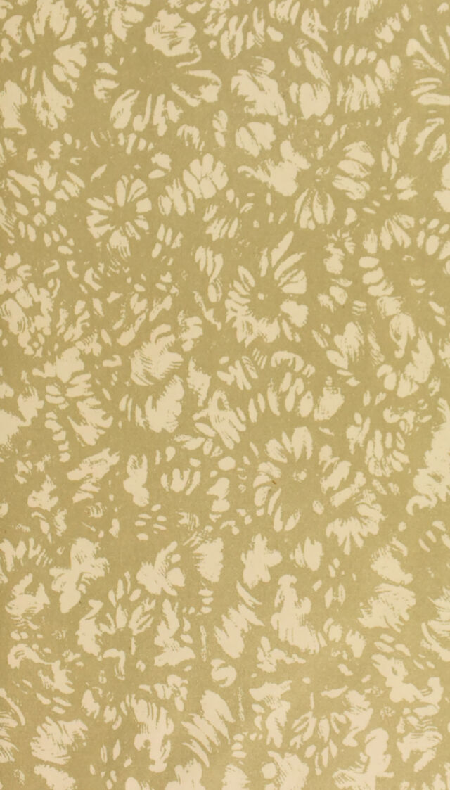 digitised image 3