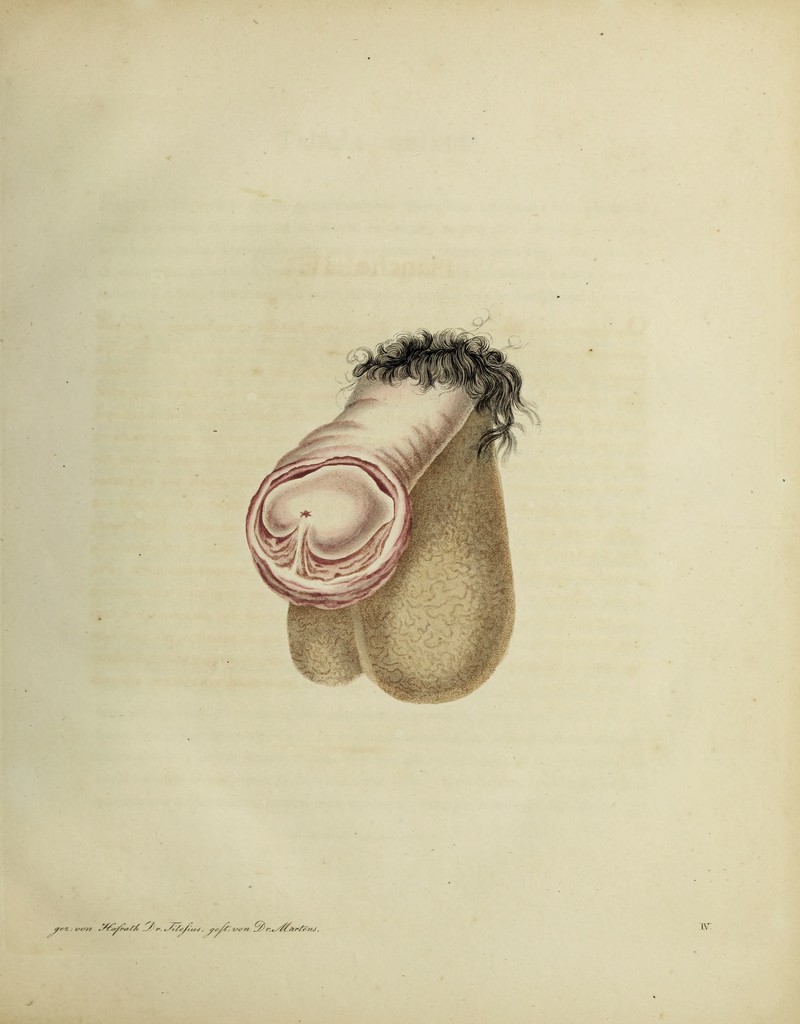 .;•■■■■ J- . i/crT? ,// _//•. W7? Qj 71 iS^/tr/FriJ.