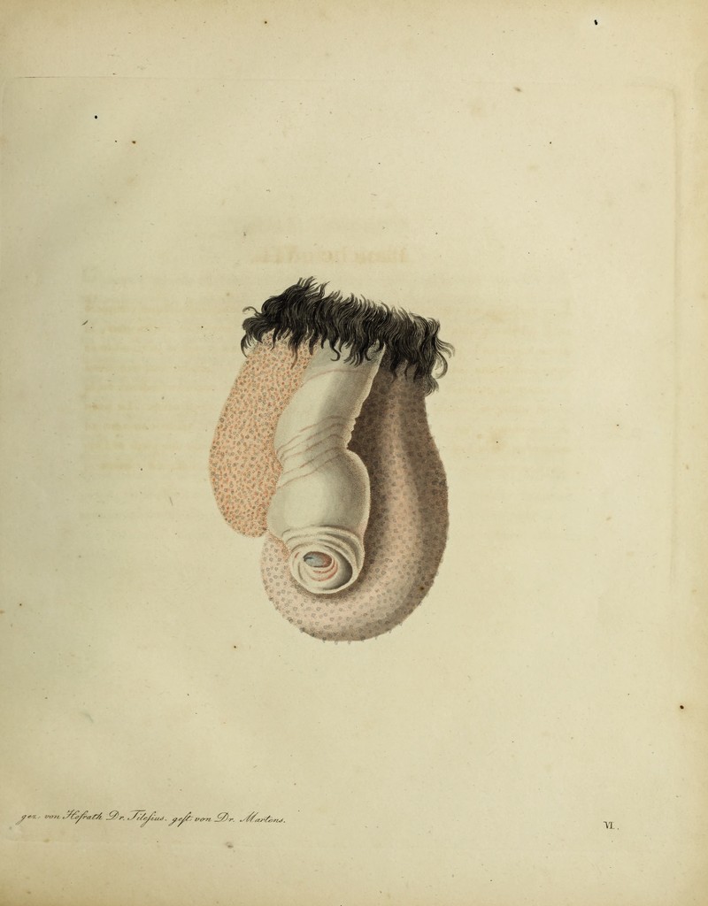 / q&J pc C > - v .?« * -'«■» JBHT ' '■iatW-r /**■' **”*-’ ’StyZaZi S2>r. . ST/p/lu^ . <%)„. ■vt