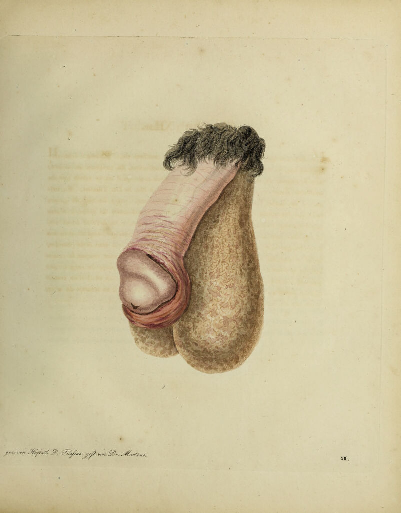 y ? X/.- vtr?/ , / 'Sfo/ntd S^r. . yyfeixrn Q?r. ^^ar7&n<<. m.