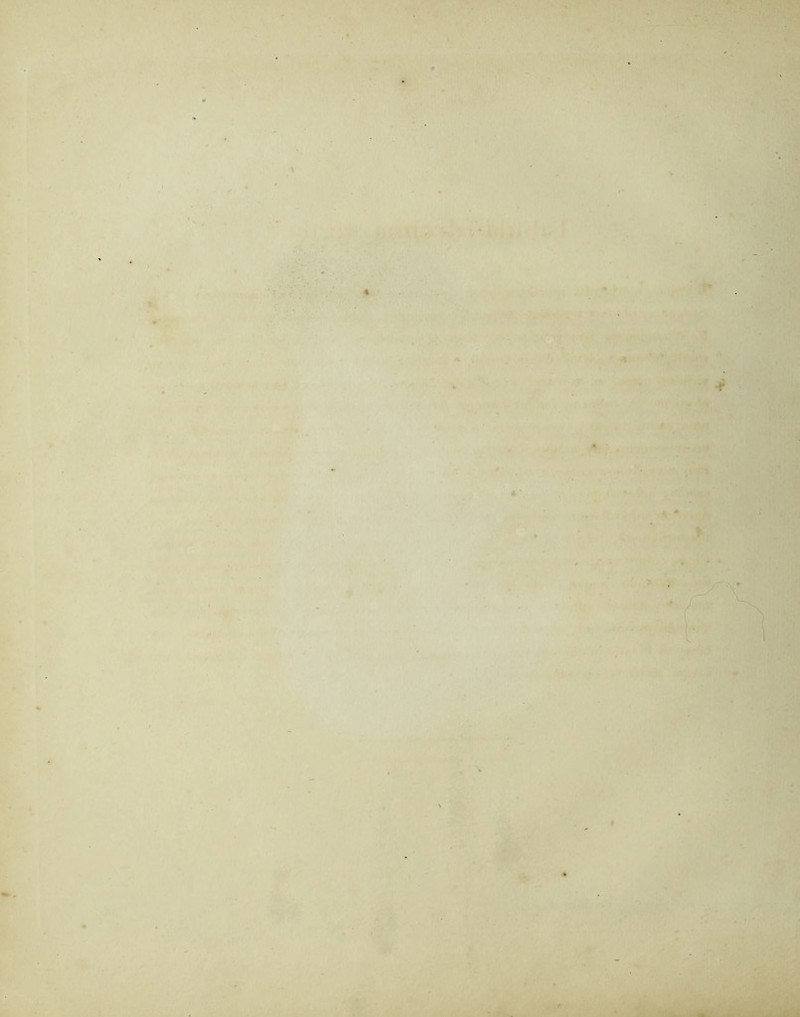 ' ' • . . I • ' , • <- . «■, 111 .