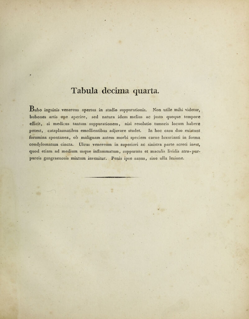 bubo inguinis venereus apertus in stadio suppurationis. Non utile mihi videtur, bubones artis ope aperire, sed natura idem melius ac justo quoque tempore efficit, si medicus tantum suppurationem, nisi resolutio tumoris locum habere potest, cataplasmatibus emollientibus adjuyare studet. In hoc casu duo existunt foramina spontanea, ob malignam autem morbi speciem carne luxurianti in forma condylomatum cincta. Ulcus venereum in superiori ac sinistra parte scroti inest, quod etianx ad medium usque inflammatum, suppurans et maculis lividis atro-pur- pureis gangraenosis mixtum invenitur. Penis ipse sanus, sine ulla lesione.