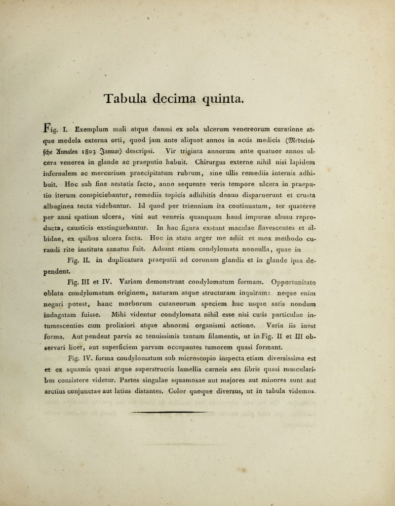 * Tabula decima quinta. Fig. I. Exemplum mali atque damni ex sola ulcerum venereorum curatione at- que medela externa orti, quod jam ante aliquot annos in actis medicis (SERe&icini* fc^e 2fnnalen 1803 3anuar) descripsi. Vir triginta annorum ante quatuor annos ul- cera venerea in glande ac praeputio habuit. Chirurgus externe nihil nisi lapidem infernalem ac mercurium praecipitatum rub rum, sine ullis remediis internis adhi- buit. Hoc sub fine aestatis facto, anno sequente veris tempore ulcera in praepu- tio iterum conspiciebantur, remediis topicis adhibitis denuo disparuerunt et crusta albuginea tecta videbantur. Id quod per triennium ita continuatum, ter quaterve per anni spatium ulcera, vini aut veneris quanquam haud impurae abusu repro- ducta, causticis exstinguebantur. In hac figura exstant maculae flavescentes et al- bidae, ex quibus ulcera facta. Hoc in statu aeger me adiit et mox methodo cu- randi rite instituta sanatus fuit. Adsunt etiam condylomata nonnulla, quae in Fig. II. in duplicatura praeputii ad coronam glandis et in glande ipsa de- pendent. Fig. Ill et IV. Variam demonstrant condylomatum formam. Opportunitato oblata condylomatum originem, naturam atque structuram inquiram: neque enim negari potest, hanc morborum cutaneorum speciem hue usque satis nondum indagatam fuisse. Mihi videntur condylomata nihil esse nisi cutis particulae in- tumescenties cum prolixiori atque abnormi organismi actione. Varia iis inest forma. Aut pendent parvis ac tenuissimis tantum filamentis, ut in Fig. II et HI ob- 6ervari licet, aut superficiem parvam occupantes tumorem quasi formant. Fig. IV. forma condylomatum sub microscopio inspecta etiam diversissima est et ex squamis quasi atque superstructis lamellis carneis seu fibris quasi musculari- bus consistere videtur. Partes singulae squamosae aut majores aut minores sunt aut arctius conjunctae aut latius distantes. Color quoque diversus, ut in tabula videmus.