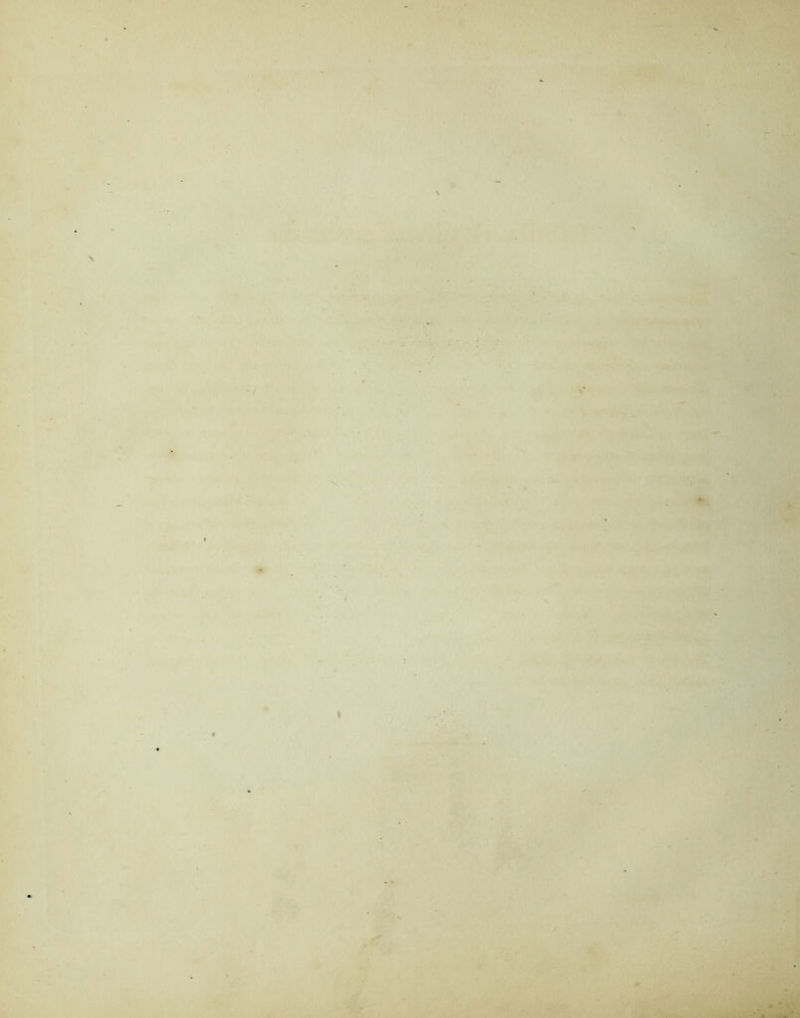 - s . V ’ • ■ ■ • - i : ■ -/ - .. . * -