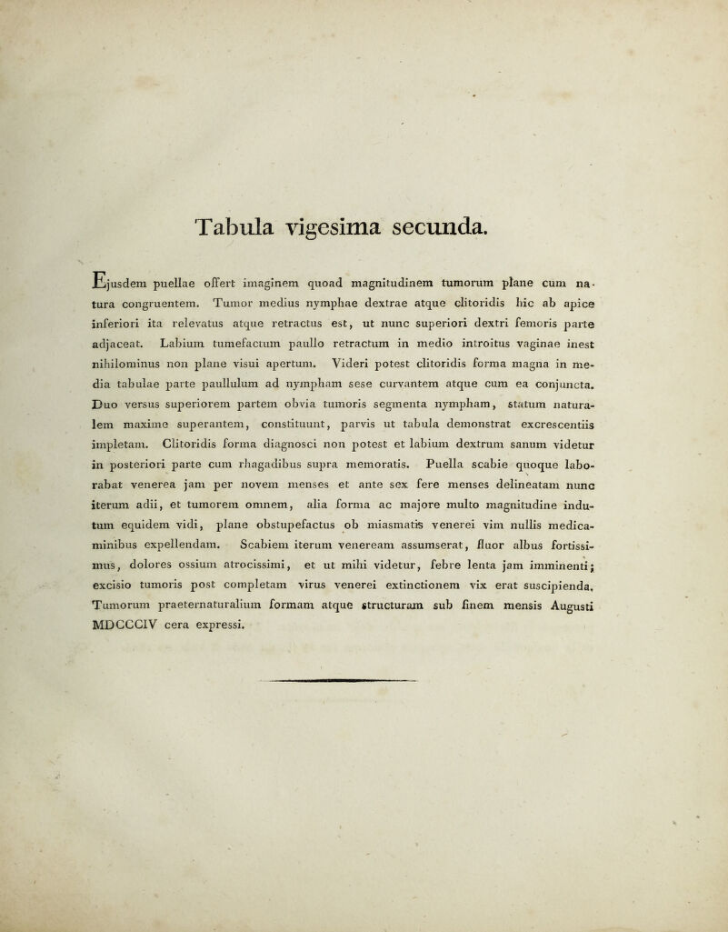 Ejusdem puellae oflert imaginem quoad magnitudinem tumorum plane cum na- tura congruentem. Tumor medius nymphae dextrae atque clitoridis Inc ab apice inferiori ita relevatus atque retractus est, ut nunc superiori dextri femoris parte adjaceat. Labium tumefactum paullo retractum in medio introitus vaginae inest nihilominus non plane visui apertum. Yideri potest clitoridis forma niagna in me- dia tabulae parte paullulum ad nympham sese curvantem atque cum ea conjuncta. Duo versus superiorem partem obvia tumoris segmenta nympham, statum natura- lem maxime superantem, constituunt, parvis ut tabula demonstrat excrescentiis impletam. Clitoridis forma diagnosci non potest et labium dextrum sanum videtur in posteriori parte cum rhagadibus supra memoratis. Puella scabie quoque labo- \ rabat venerea jam per novem menses et ante sex fere menses delineatam nunc iterum adii, et tumorem omnem, alia forma ac majore multo magnitudine indu- tum equidem vidi, plane obstupefactus ob miasmatis venerei vim nullis medica- minibus expellendam. Scabiem iterum veneream assumserat, fluor albus fortissi- mus, dolores ossium atrocissimi, et ut mihi videtur, febre lenta jam imminentij excisio tumoris post completam virus venerei extinctionem vix erat suscipienda, Tumorum praeternaturalium formam atque structurara sub finem mensis Augusti MDCCC1V cera expressi.