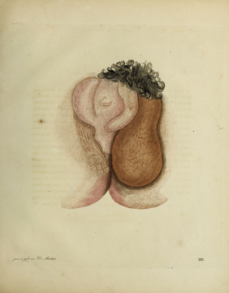 asr //■ t/t/a /•. , . 2m.