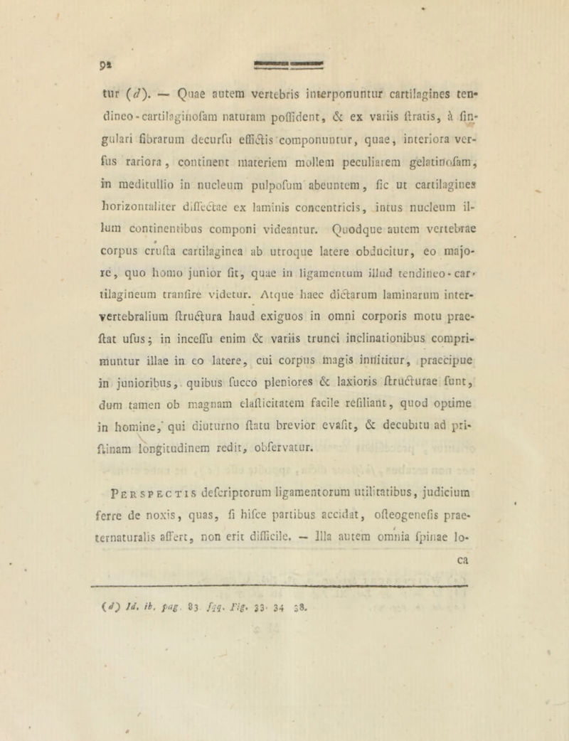 94 tur (r/). — Quae antem vertebris interponuntur cartilagines ten- dineo -cartilaginofam naturam poflident, & ex variis liratis, k lin- gulari fibrarum decurfu dii ilis 'componuntur, quae, interiora ver- fus rariora, continent materiem mollem peculiarem gelatinofam, in meditullio in nucleum pulpofura abeuntem, fic ut cartilagines horizontaliter diffectae ex laminis concentricis, intus nucleum il- lum continentibus componi videantur. Quodque autem vertebrae corpus crtifla cartilaginea ab utroque latere obducitur, eo majo- re, quo homo junior fit, quae in ligamentum illud tendineo - car* tilagineum tranlire videtur. Atque haec dictarum laminarum inter- vertebralium flrudlura haud exiguos in omni corporis motu prae- flat ufus; in inceffu enim & variis trunci inclinationibus compri- muntur illae in co latere, cui corpus magis innititur, praecipue in junioribus, quibus fucco pleniores & laxioris ftrudlurae funt, dum tamen ob magnam elaflicitatem facile refiliant, quod optime in homine/ qui diuturno flatu brevior evafit, & decubitu ad pri- ftinam longitudinem redit, obfervatur. Perspectis deferiptorum ligamentorum utilitatibus, judicium ferre de noxis, quas, fi hifce partibus accidat, ofteogenefis prae- t ternaturalis affert, non erit difficile. — Illa autem omnia fpinae lo- ca (d) Jd. ib. pag. 83 fqq. fig, 33-34 38. / *