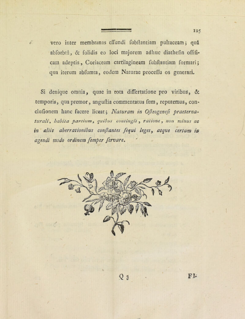 125 vero inter membranas effundi fubftantiam pultaceam; qui abforbta, & folidis eo loci majorem adhuc diathefin offifi- cam adeptis, Coriaceam cartilagineam fubftantiam formari; qua iterum abfumta, eodem Naturae proceftu os generari. Si denique omnia, quae in rota differtatione pro viribus, & temporis, qua premor, anguftia commentatus fum, reputemus, con- clufionem hanc facere liceat ; Naturam in Ofteogenefi praeterna- turali, habita partiam, quibus contingit, ratione, non minus ac in aliis aberrationibus conii antes fequi leges, atque certum i® agendi modo orditiem femper fervar e. s