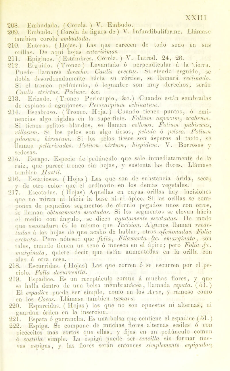 208. Embudada. (Corola.) V. Embudo. 209. Embudo. ( Corola do figura de) V. Iufundibuliforme. Llámase también corola embudada. 210. Enteras. (Hojas.) Las que carecen de todo seno en sus orillas. De aqui hojas en ferísimas. 211. Epiginos. (Estambres. Corola.) V. Introd. 24, 26. 212. Erguido. (Tronco) Levantado ó perpendicular á la 'tierra. Puede llamarse derecho. Caulis erectas. Si siendo erguido, se dobla desordenadamente hacia su vértice, se llamará reclinado. Si el tranco pedúnculo, ó legumbre son muy derechos, serán Caulis strictus. Pcdunc. ice. 213. Erizado. (Tronco Pericarpio, &c.) Cuando están sembradas de espinas ó aguijones. Pericarpium echinatum. 214. Escabroso. (Tronco. Hoja.) Cuando tienen puntos, ó emi- nencias algo rígidas en la superficie. Folium asperum, scabrnm. Si tienen pelitos blandos, se llaman vellosos. Folium pubisecus, viflosum. Si los pelos son algo tiesos, peludo ó peloso. Folium pilosiun, hirsuium. Si los pelos tiesos son ásperos al tacto, se llaman pelierizados. Folium hirtuui, hispid-ion. V. Borrosas y sedosas. 210. Escapo. Especie de pedúnculo que sale inmediatamente de la raiz, que parece tronco sin hojas, y sustenta las flores. Llámase también Hostil. 216. Escariosas. (Hojas) Las que son de substancia árida, seca, v de otro color (pie el ordinario en los demas vegetales. 217. Escotadas. (Hojas) Aquellas en cuyas orillas hay incisiones que no miran ni hacia la base ni al ápice. Si las orillas se com- ponen de pequeños segmentos de círculo pegados unos con otros, se llaman obtusamente escotadas. Si los segmentos se elevan hacia el medio con ángulo, se dicen agudamente escotadas. De modo que escotadura és lo mismo que Incisión. Algunos llaman recor- tadas á las hojas de que acabo de hablar, otros afestonadas. Folia ccenata. Pero nótese: que folia, Filamento fe. cmarginatu, son tales, cuando tienen un seno ó muesca en el ápice; pero Folia fe. marginata, quiere decir que están aumentadas en la orilla con alas ú otra cosa. 218. Escurridas. ( Hojas) Las que corren ó se escurren por el pe- ciolo. Folia decvrrentia. 219. Espádice. Es un receptáculo común á muchas flores, y que se halla dentro de una bolsa membranácea, llamada esputa. (51.) El espádice puede ser simple, como en los Aros, y ramoso como en los Cocos. Llámase también turnara. 220. Esparcidas. (Hojas) las que no son opuestas ni alternas, ni guardan orden en la inserción. 221. Esputa ó garrancha. Es una bolsa que contiene el espádice (61.) 222. Espiga. Se compone de muchas flores alternas sésiles ó con piececitos mas cortos que ellas, y fijas en un pedúnculo común ó costilla simple. La espiga puede ser sencilla sin formar nue- vas espigas, y las flores serán entonces simplemente espigadas-,