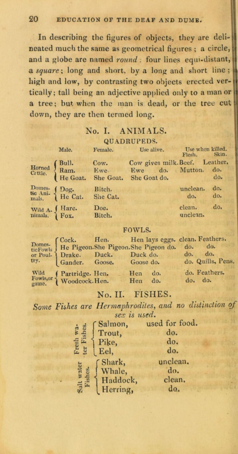 In describing the figures of objects, they are deli- ■ neated much the same as geometrical figures ; a circle, and a globe are named round. four lines equi-distant, a. square-, long and short, by a long and short line; high and low, by contrasting two objects erected ver- tically; tall being an adjective applied only to a manor a tree; but when the man is dead, or the tree cut down, they are then termed long. No. I. ANIMALS. QUADRUPEDS. Male. Female. Use alive. Use when killed. Flesh. Skin. Horned j Cfttle. | Bull. Cow. Cow gives milk. Beef. Leather. Ram. Ewe Ewe do. Mutton, do. He Goat. She Goat. She Goat do. do. Domes- i tic Ani- J mats. 1 Dog. Bitch. unclean, do. He Cat. She Cat. do. do. Wild A- . Hare. Doe. clean. do. nitnals. Fox. Bitch. FOWLS. unclean. Domes- ticFowls. 'Cock. Hen. Hen lays eggs. clean. Feathers. He Pigeon.She Pigeo n.She Pigeon do. do. do. or Poul- Drake. Duck. Duck do. do. do. try. Gander. V. Goose. Goose do. do. Quills, Pens. Wild ' Partridge. Hen. Hen do. do. Feathers. Fowls,or ■ game. , Woodcock. Hen. Hen do. do. do. No. II. FISHES. Some Fishes are Hermaphrodites, and no distinction of sex is used. • c/5 f Salmon, used for food. a qj \ * f, J Trout, do. |E ] Pike, do. £$ [Eel, do. S . [Shark, unclean. | & J Whale, do. Z £ j Haddock, clean. ^ [ Herring, do.