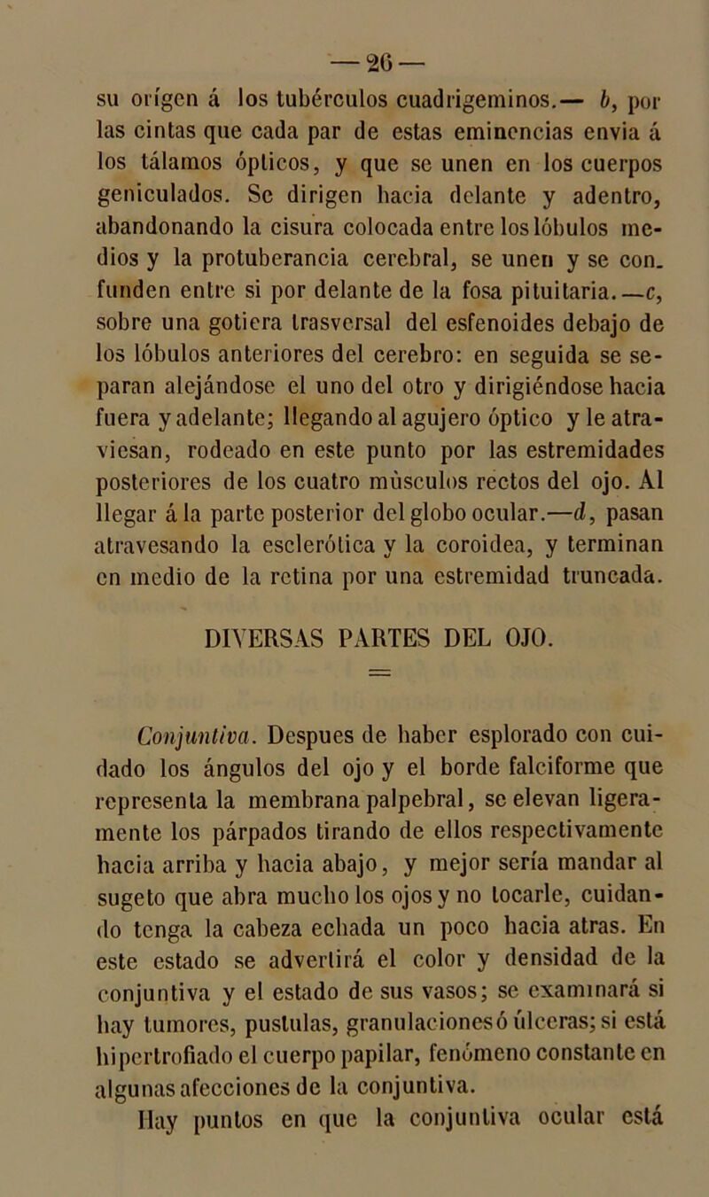 su origen á los tubérculos cuadrigeminos.— b, pol- las cintas que cada par de estas eminencias envía á los tálamos ópticos, y que se unen en los cuerpos geniculados. Se dirigen hacia delante y adentro, abandonando la cisura colocada entre los lóbulos me- dios y la protuberancia cerebral, se unen y se con. funden entre si por delante de la fosa pituitaria.—c, sobre una gotiera trasversal del esfenoides debajo de los lóbulos anteriores del cerebro: en seguida se se- paran alejándose el uno del otro y dirigiéndose hacia fuera y adelante; llegando al agujero óptico y le atra- viesan, rodeado en este punto por las estremidades posteriores de los cuatro músculos rectos del ojo. Al llegar ála parte posterior del globo ocular.—d, pasan atravesando la esclerótica y la coroidea, y terminan en medio de la retina por una estremidad truncada. DIVERSAS PARTES DEL OJO. Conjuntiva. Después de haber esplorado con cui- dado los ángulos del ojo y el borde falciforme que representa la membrana palpebral, se elevan ligera- mente los párpados tirando de ellos respectivamente hacia arriba y hacia abajo, y mejor sería mandar al sugeto que abra mucho los ojos y no locarle, cuidan- do tenga la cabeza echada un poco hacia atras. En este estado se advertirá el color y densidad de la conjuntiva y el estado de sus vasos; se examinará si hay tumores, pústulas, granulaciones ó úlceras; si está hipertrofiado el cuerpo papilar, fenómeno constante en algunas afecciones de la conjuntiva. Hay puntos en que la conjuntiva ocular está