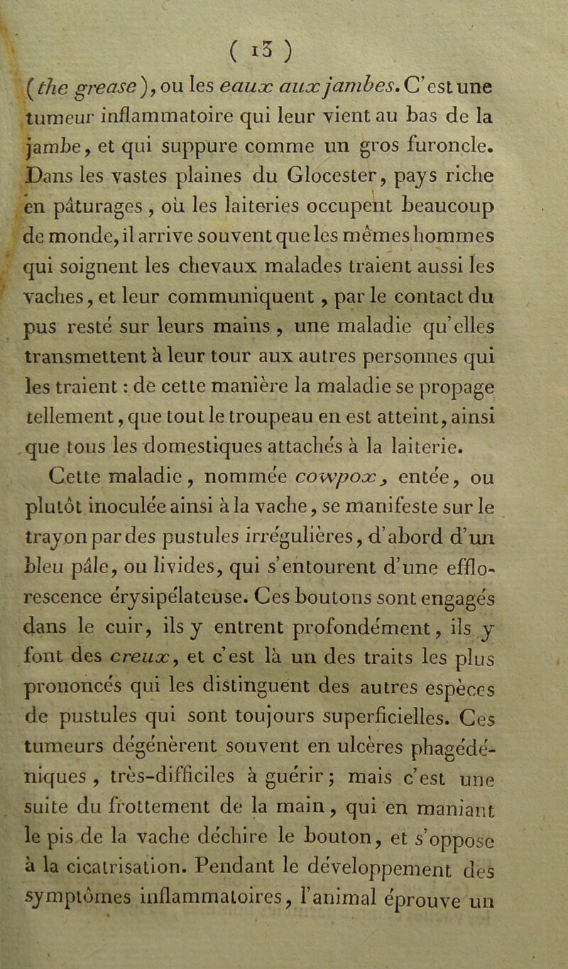 ( »5 ) (thc grease),ou les eaux aux jambes. C’est une tumeur inflammatoire qui leur vient au bas de la jambe, et qui suppure comme un gros furoncle. Dans les vastes plaines du Glocester, pays riche en pâturages, ou les laiteries occupent beaucoup de monde, il arrive souvent que les mêmes hommes qui soignent les chevaux malades traient aussi les vaches, et leur communiquent , par le contact du pus reste sur leurs mains , une maladie qu’elles transmettent h leur tour aux autres personnes qui les traient : de cette manière la maladie se propage tellement, que tout le troupeau en est atteint, ainsi que tous les domestiques attaches à la laiterie. Cette maladie, nommée cowpox , entée, ou plutôt inoculée ainsi à la vache, se manifeste sur le trayon par des pustules irrégulières, d’abord d’un bleu pâle, ou livides, qui s’entourent d’une efflo- rescence érysipélateuse. Ces boutons sont engagés dans le cuir, ils y entrent profondément, ils y font des creux, et c’est là un des traits les plus prononcés qui les distinguent des autres espèces de pustules qui sont toujours superficielles. Ces tumeurs dégénèrent souvent en ulcères phagédé- niques , très-difficiles à guérir ; mais c’est une suite du frottement de la main, qui en maniant le pis de la vache déchire le bouton, et s’oppose à la cicatrisation. Pendant le développement des symptômes inflammatoires, l’animal éprouve un