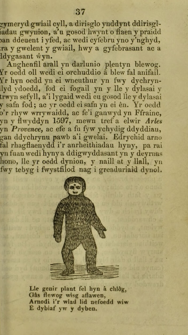 ^jrmeryd gwiail cyll, a dirisglo ynddynt ddirisgl- iadau gwynion, a’u gosod hwynt o flaen y praidd )an ddeuent i yfed, ac wedi cyl'ebru yno y’nghyd, ;ra y gwelent y gwiail, hwy a gyfebrasant ac a Idygasant ŵyn. Anghenfil arall yn darlunio plentyn blewog. ifr oedd oll wedi ei orchuddio â blew fal anifail. i’r hyn oedd yn ei wneuthur yn fwy dychryn- llyd ydoedd, fod ei fogail yn y lle y dylasai y trwyn sefyll, a’i lygaid wedi eu gosod lle y dylasai y safn fod; ac yr oedd ei safn yn ei ên. Yr oedd o’r rhyw wrrywaidd, ac fe’i ganwyd yn Ffrainc, yn y flwyddyn 1597, mewn trefa elwir Arles yn Provencef ac efe a fu fyw ychydig ddyddiau, gan ddychrynu pawb a’i gwelai. Edrychid arno fal rhagflaenydd i’r anrheithiadau hyny, pa rai yn fuan wedi hyny a ddigwyddasant yn y deyrnas hono, lle yr oedd dynion, y naill at y llall, yn fwy tebyg i fwystfiîod nag i greaduriaid dynol. Lle genir plant fel hyn á chlôg, Gâs flewog svisg aflawen, Amodi i'r wlad lid nefoedd wiw E dybiaf yw y dyben.