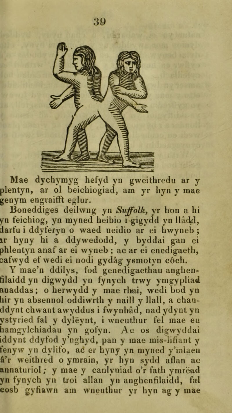 Mae dychymjfg hefyd yn gweithredu ar y plentyn, ar ol beichiogiad, am yr hyn y inae genym engraift’t eglur. Boneddiges deilwug yn Suffolh, yr hon a hi yn feichiog, yn myned heibio i-gigydd yn llâdjd, darfu i ddyferyn o waed neidio ar ei hwyneb ; ir hyny hi a ddywedodd, y byddai gan ei phlentyn anaf ar ei wyneb ; ac ar ei enedigaeth, cafwyd ef wedi ei nodi gydâg ysmotyn côch. Y mae’n ddilys, fod genedigaethau anghen- fìlaidd yn digwydd yn fynych trwy ymgypliad anaddas; o herwydd y mae rliai, wedi bod yn hir yn absennol oddiwrth y naill y Ilall, a chan- ddynt chwantawyddus i fwynlrâd, nadydyntyn ystyried fal y dylëynt, i wneuthur fel mae eu hamgylchiadau yn gofyn. Ac os digwydclai iddynt ddyfod y’nghyd, pan y mae mis-litìant y fenyw yn dylifo, ad er hyny yn myned y’mlaea â’r weithred o ymrain, yr hyn sydd aflan ac annaturiol; y mae y canlyniad o’r fath ymrëad yn fynych yn troi allan yn anghentìlaidd, fal cosb gyfiawn am wneuthur yr hyn ag y mae