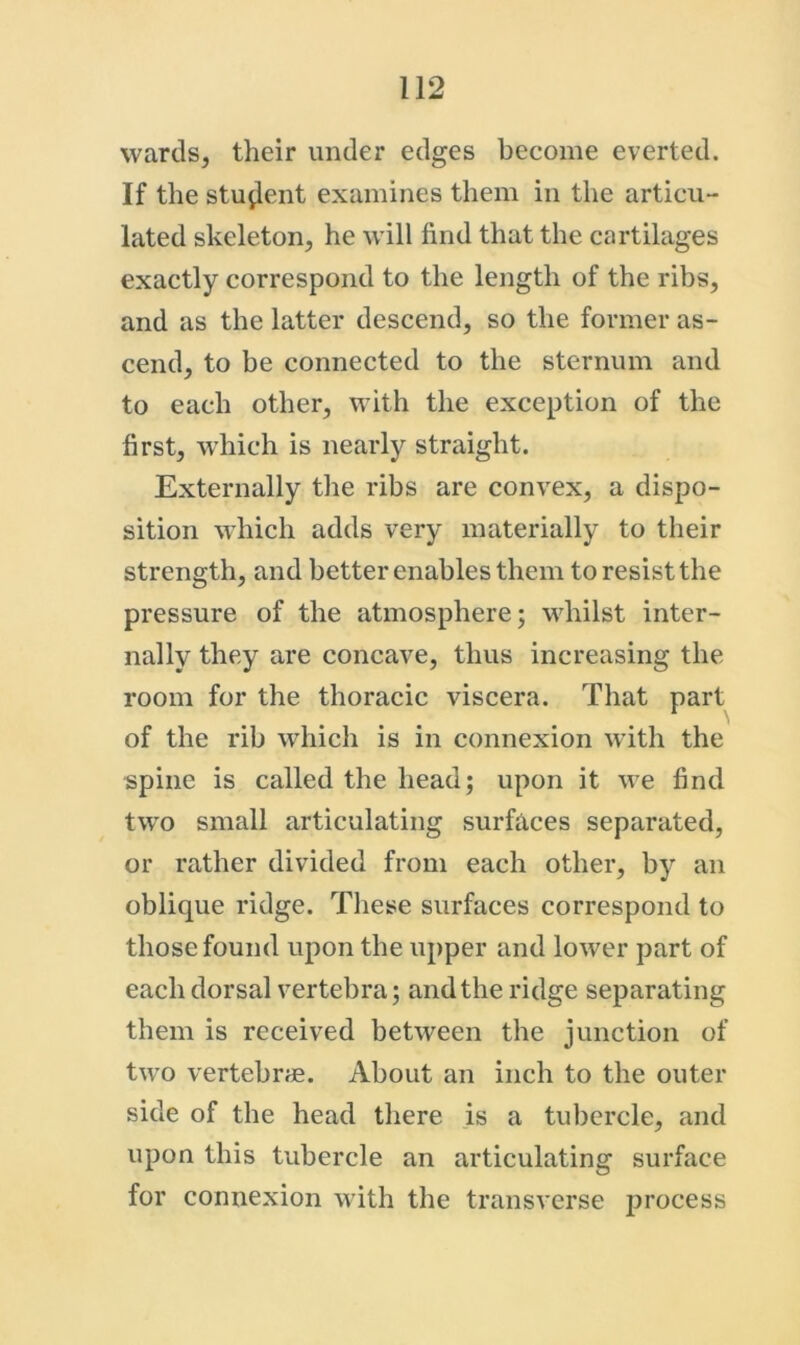 wards, their under edges become everted. If the student examines them in the articu- lated skeleton, he will find that the cartilages exactly correspond to the length of the ribs, and as the latter descend, so the former as- cend, to be connected to the sternum and to each other, with the exception of the first, which is nearly straight. Externally the ribs are convex, a dispo- sition which adds very materially to their strength, and better enables them to resist the pressure of the atmosphere; whilst inter- nally they are concave, thus increasing the room for the thoracic viscera. That part of the rib which is in connexion with the spine is called the head; upon it we find two small articulating surfaces separated, or rather divided from each other, by an oblique ridge. These surfaces correspond to those found upon the upper and lower part of each dorsal vertebra; and the ridge separating them is received between the junction of two vertebrae. About an inch to the outer side of the head there is a tubercle, and upon this tubercle an articulating surface for connexion with the transverse f>rocess