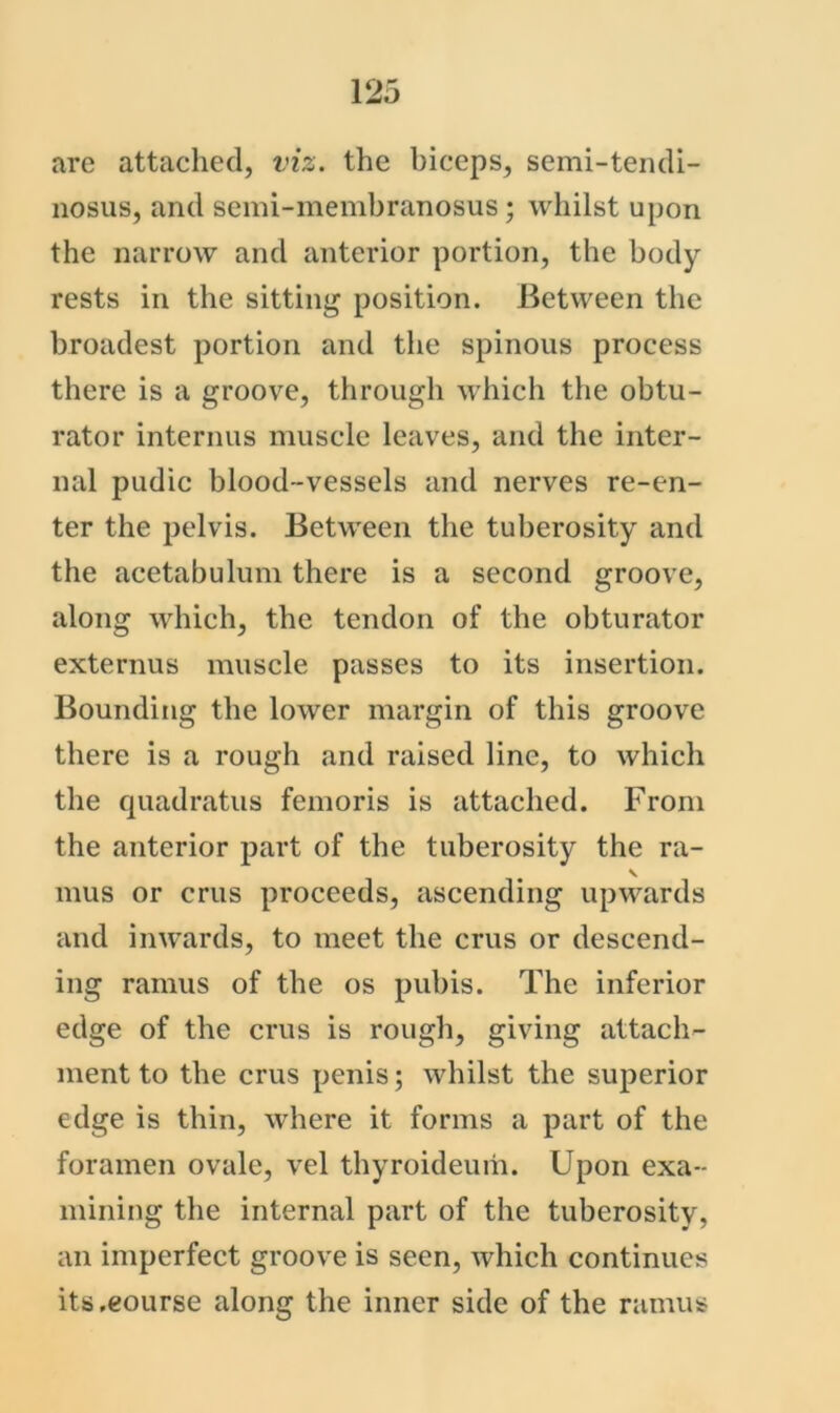 are attached, viz. the biceps, semi-tendi- iiosus, and semi-membranosus; whilst upon the narrow and anterior portion, the body rests in the sitting position. Between the broadest portion and the spinous process there is a groove, through which the obtu- rator interims muscle leaves, and the inter- nal pudic blood-vessels and nerves re-en- ter the pelvis. Between the tuberosity and the acetabulum there is a second groove, along which, the tendon of the obturator externus muscle passes to its insertion. Bounding the lower margin of this groove there is a rough and raised line, to which the quadratus femoris is attached. From the anterior part of the tuberosity the ra- V mus or crus proceeds, ascending upwards and inwards, to meet the crus or descend- ing ramus of the os pubis. The inferior edge of the crus is rough, giving attach- ment to the crus penis; whilst the superior edge is thin, where it forms a part of the foramen ovale, vel thyroideum. Upon exa- mining the internal part of the tuberosity, an imperfect groove is seen, which continues its .course along the inner side of the ramus