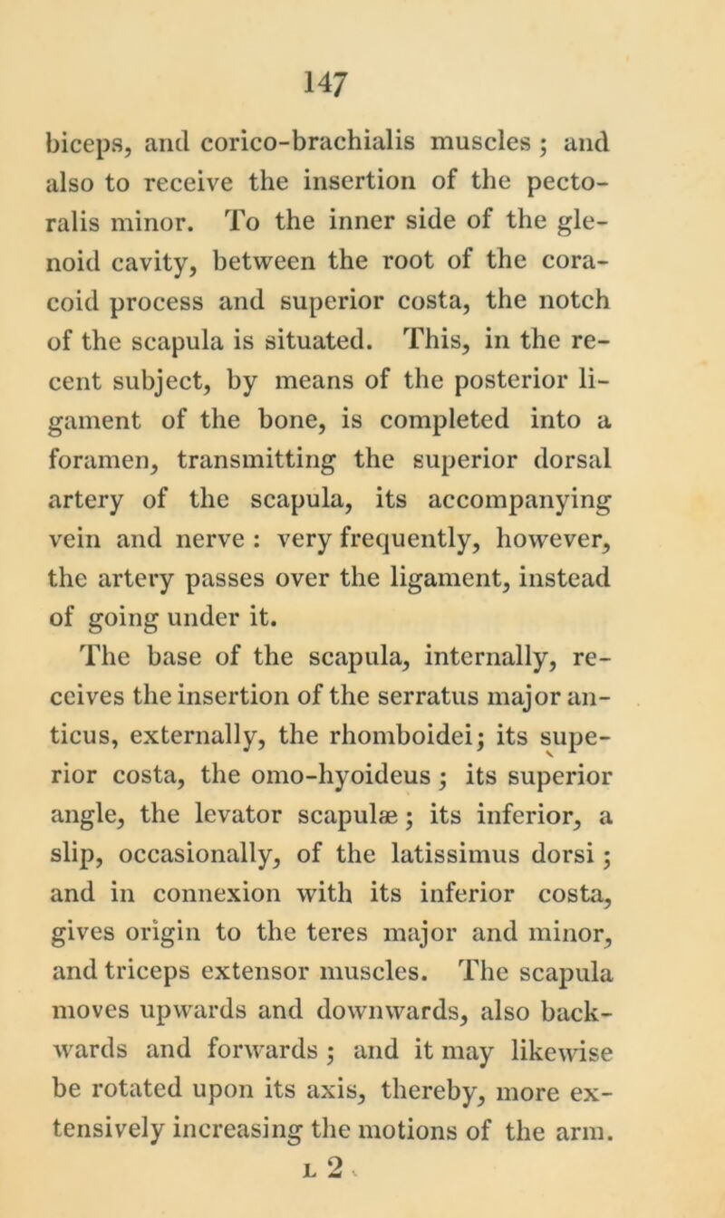 biceps, and corico-brachialis muscles; and also to receive the insertion of the pecto- ralis minor. To the inner side of the gle- noid cavity, between the root of the cora- coid process and superior costa, the notch of the scapula is situated. This, in the re- cent subject, by means of the posterior li- gament of the bone, is completed into a foramen, transmitting the superior dorsal artery of the scapula, its accompanying vein and nerve : very frequently, however, the artery passes over the ligament, instead of going under it. The base of the scapula, internally, re- ceives the insertion of the serratus major an- ticus, externally, the rhomboidei; its supe- rior costa, the omo-hyoideus ; its superior angle, the levator scapulae; its inferior, a slip, occasionally, of the latissimus dorsi; and in connexion with its inferior costa, gives origin to the teres major and minor, and triceps extensor muscles. The scapula moves upwards and downwards, also back- wards and forwards ; and it may likewise be rotated upon its axis, thereby, more ex- tensively increasing the motions of the arm. L 2 V