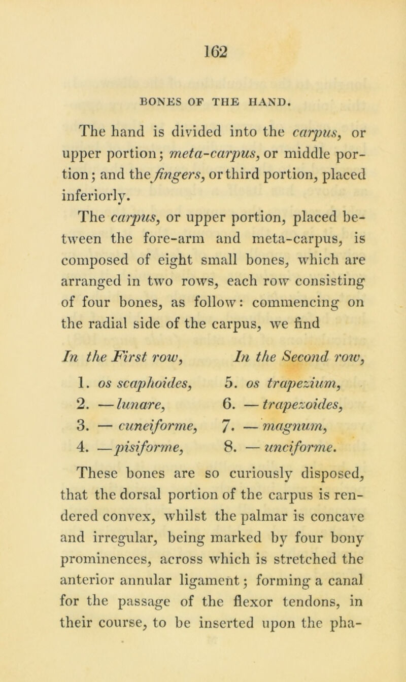 BONES OF THE HAND. The hand is divided into the carpus, or upper portion; meta-carpus, or middle por- tion ; and fingers, or third portion, placed inferiorly. The carpus, or upper portion, placed be- tween the fore-arm and meta-carpus, is composed of eight small bones, which are arranged in tw^o rows, each row consisting of four bones, as follow: commencing on the radial side of the carpus, we find In the First row, 1. os scajyhoides, 2. —lunar e, 3. — cuneiforme, 4. —pisiform e, In the Second row, 5. os trapezium, 6. — trapezoides, 7. — magnum, 8. — unciforme. These bones are so curiously disposed, that the dorsal portion of the carpus is ren- dered convex, whilst the palmar is concave and irregular, being marked by four bony prominences, across which is stretched the anterior annular ligament; forming a canal for the passage of the flexor tendons, in their course, to be inserted upon the pha-