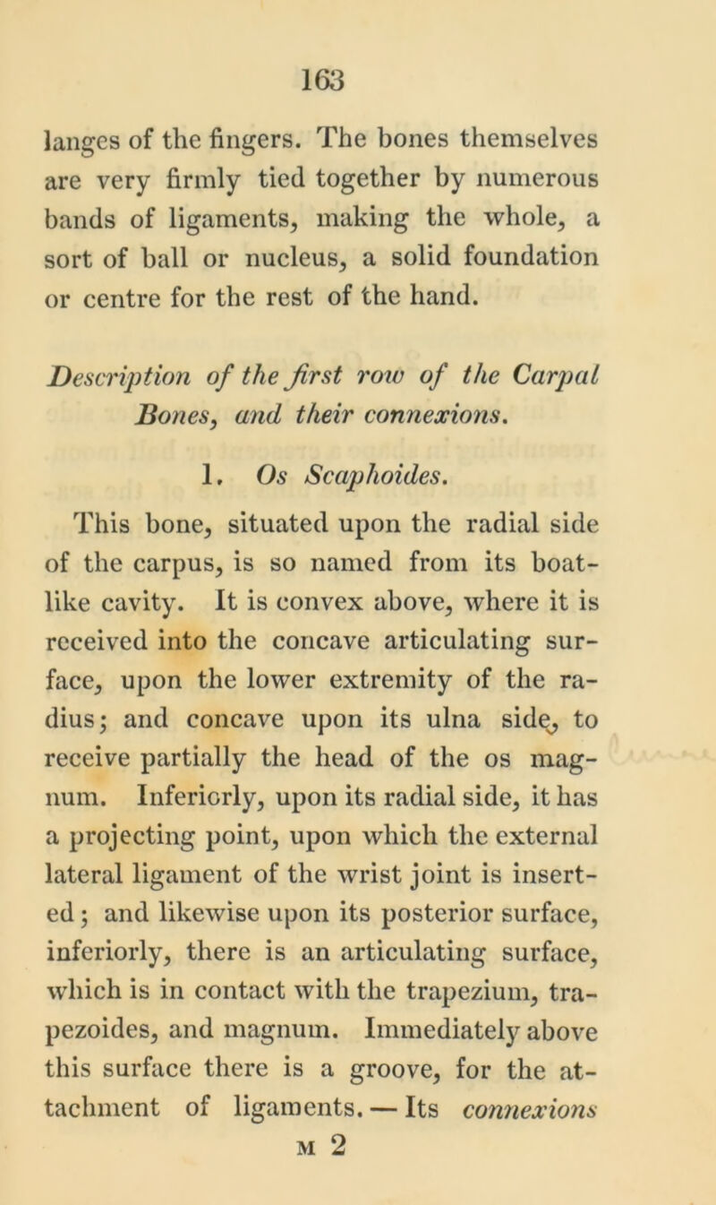 langes of the fingers. The bones themselves are very firmly tied together by numerous bands of ligaments, making the whole, a sort of ball or nucleus, a solid foundation or centre for the rest of the hand. Description of the first row of the Carpal Bones, and their connexions. 1, Os Scaphoides. This bone, situated upon the radial side of the carpus, is so named from its boat- like cavity. It is convex above, where it is received into the concave articulating sur- face, upon the lower extremity of the ra- dius; and concave upon its ulna side^ to receive partially the head of the os mag- num. Infericrly, upon its radial side, it has a projecting point, upon which the external lateral ligament of the wrist joint is insert- ed ; and likewise upon its posterior surface, inferiorly, there is an articulating surface, which is in contact with the trapezium, tra- pezoides, and magnum. Immediately above this surface there is a groove, for the at- tachment of ligaments. — Its connexions M 2