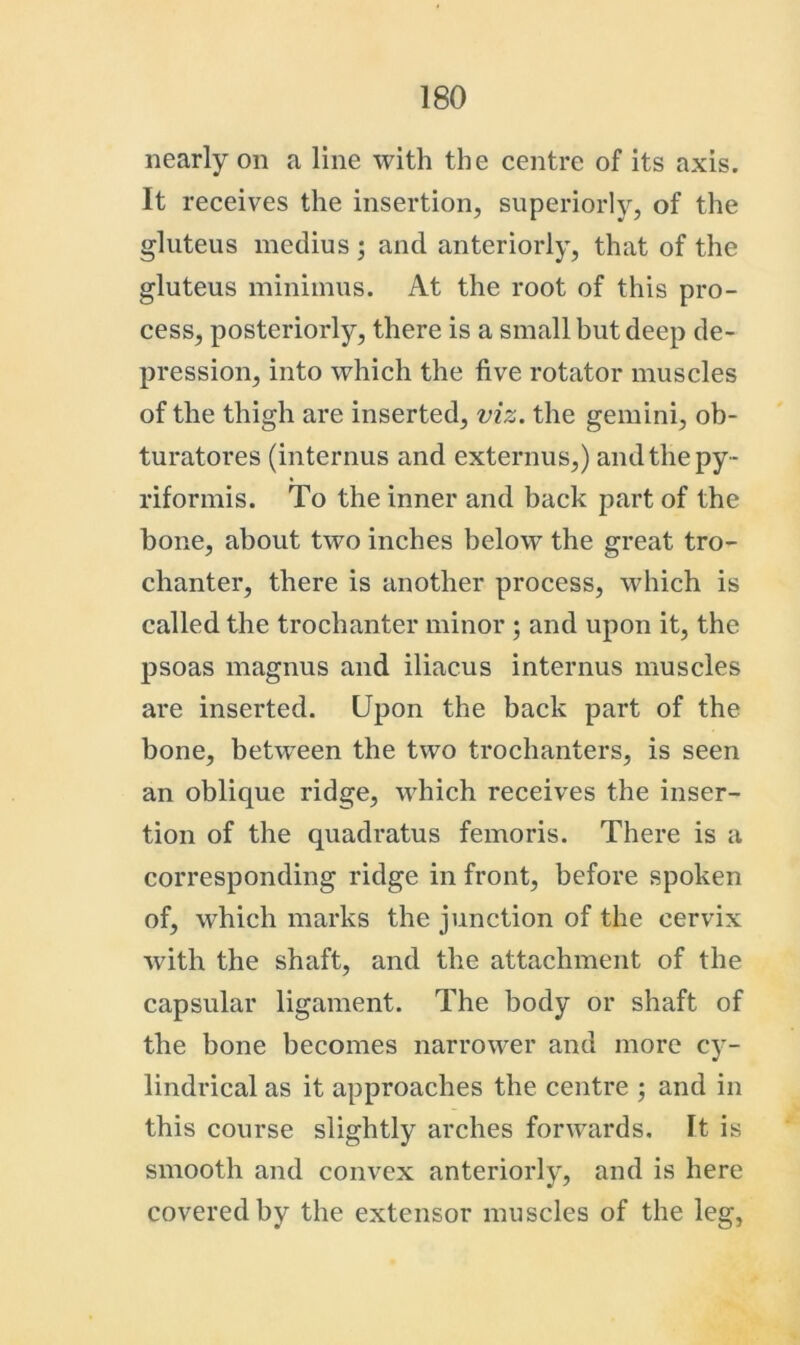 nearly on a line with the centre of its axis. It receives the insertion, superiorly, of the gluteus medius ; and anteriorly, that of the gluteus minimus. At the root of this pro- cess, posteriorly, there is a small but deep de- pression, into which the five rotator muscles of the thigh are inserted, viz. the gemini, ob- turatores (internus and externus,) and the py- riformis. To the inner and back part of the bone, about two inches below the great tro- chanter, there is another process, which is called the trochanter minor ; and upon it, the psoas magnus and iliacus internus muscles are inserted. Upon the back part of the bone, between the two trochanters, is seen an oblique ridge, which receives the inser- tion of the quadratus femoris. There is a corresponding ridge in front, before spoken of, which marks the junction of the cervix with the shaft, and the attachment of the capsular ligament. The body or shaft of the bone becomes narrower and more cy- lindrical as it approaches the centre ; and in this course slightly arches forwards. It is smooth and convex anteriorly, and is here covered by the extensor muscles of the leg,