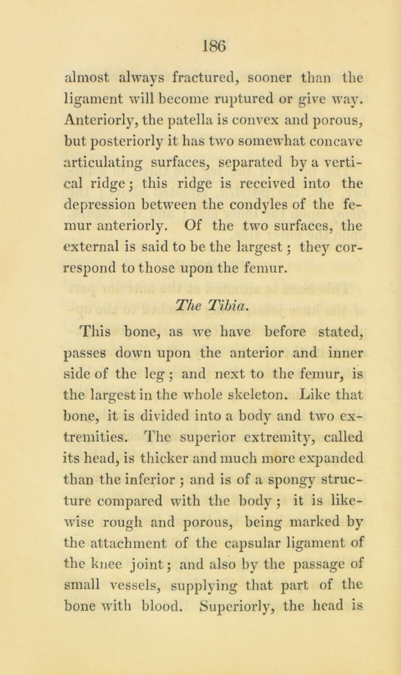 almost always fractured, sooner than the ligament will become ruptured or give W'ay. Anteriorly, the patella is convex and porous, but posteriorly it has two somewhat concave articulating surfaces, separated by a verti- cal ridge; this ridge is received into the depression between the condyles of the fe- mur anteriorly. Of the two surfaces, the external is said to be the largest; they cor- respond to those upon the femur. The Tibia. This bone, as we have before stated, passes dow'ii upon the anterior and inner side of the leg; and next to the femur, is the largest in the whole skeleton. Like that bone, it is divided into a body and two ex- tremities. The superior extremity, called its head, is thicker and much more expanded than the inferior ; and is of a spongy struc- ture compared with the body ; it is like- wise rough and porous, being marked by the attachment of the capsular ligament of the knee joint; and also by the passage of small vessels, supplying that part of the bone with blood. Superiorly, the head is