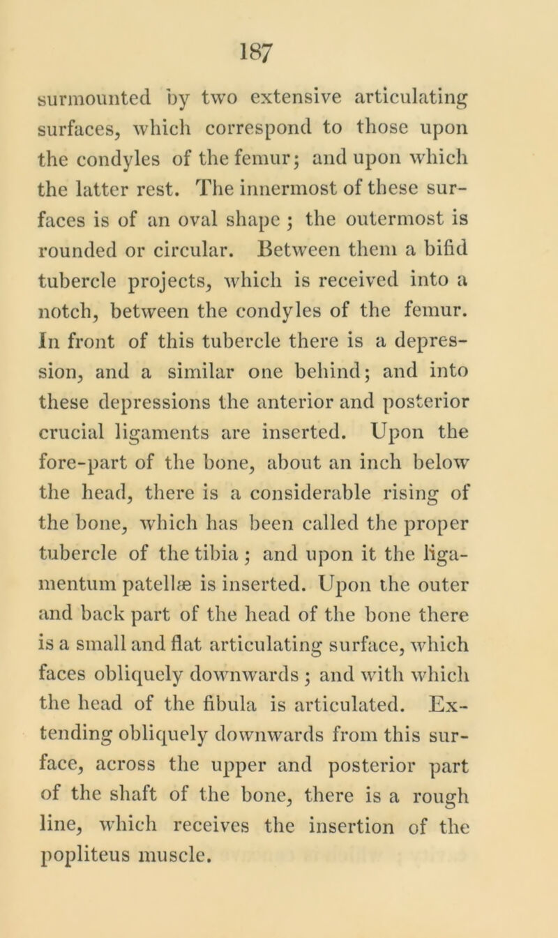 surmoimted by two extensive articulating surfaces, which correspond to those upon the condyles of the femur; and upon wdiich the latter rest. The innermost of these sur- faces is of an oval shape ; the outermost is rounded or circular. Between them a bifid tubercle projects, which is received into a notch, between the condyles of the femur. In front of this tubercle there is a depres- sion, and a similar one behind; and into these depressions the anterior and posterior crucial ligaments are inserted. Upon the fore-part of the bone, about an inch below the head, there is a considerable rising of the bone, which has been called the proper tubercle of the tihia ; and upon it the liga- mentum patelhe is inserted. Upon the outer and back part of the head of the bone there is a small and flat articulating surface, wdiich faces obliquely dow^nwards ; and w'ith w^hich the head of the fibula is articulated. Ex- tending obliquely downwards from this sur- face, across the upper and posterior part of the shaft of the bone, there is a rough line, wdiich receives the insertion of the popliteus muscle.