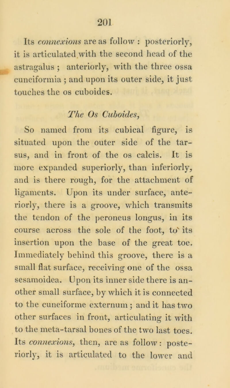 Its connexions are as follow : posteriorly, it is articulated.with the second head of the astragalus ; anteriorly, with the three ossa cuneiforinia ; and upon its outer side, it just touches the os cuboides. The Os Cuboides, So named from its cubical figure, is situated upon the outer side of the tar- sus, and in front of the os calcis. It is more expanded superiorly, than inferiorly, and is there rough, for the attachment of ligaments. Upon its under surface, ante- riorly, there is a groove, which transmits the tendon of the peroneus longus, in its course across the sole of the foot, to' its insertion upon the base of the great toe. Immediately behind this groove, there is a small flat surface, receiving one of the ossa sesamoidea. Upon its inner side there is an- other small surface, by which it is connected to the CLineiforme externum ; and it has two other surfaces in front, articulating it with to the meta-tarsal bones of the two last toes. Its connexions, then, are as follow: poste- riorly, it is articulated to the lower and