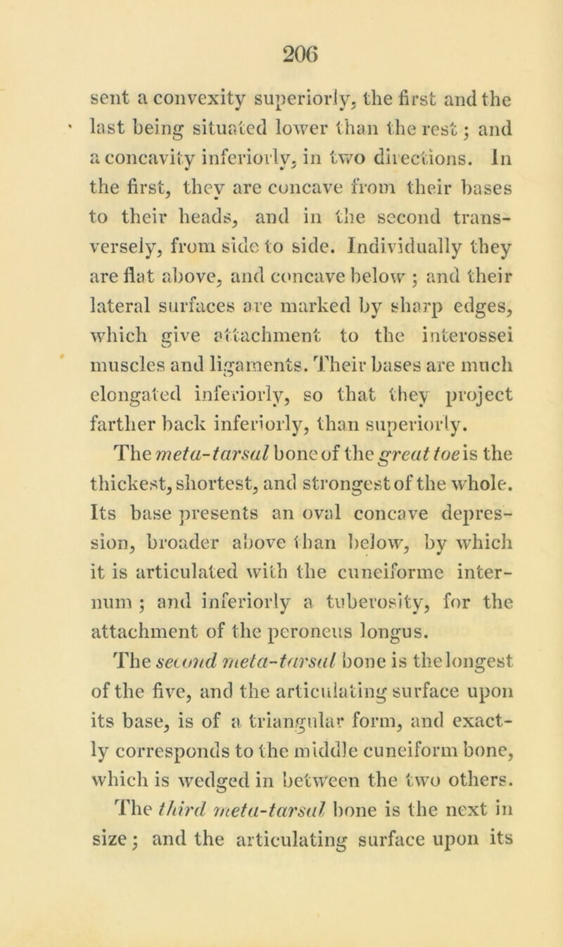 sent a convexity superiorivj the first and the last being situated lower than the rest; and a concavity inferiorly. in two directions. In the first, they are concave from their bases to their heads, and in tlie second trans- versely, from side to side. Individually they are flat above, and concave below ; and their lateral surfaces ore marked by sharp edges, which give attachment to the interossei muscles and ligaments. Their bases are much elongated inferiorly, so that they project farther back inferiorly, than superiorly. The meta-iarsul honQ of the great toe is the thickest, shortest, and strongest of the w^hole. Its base presents an oval concave depres- sion, broader above than below, by which it is articulated with the cuneiforine inter- num ; and inferiorly a tuberosity, for the attachment of the peroneus longus. The setond meta-tarsal bone is thelongest of the five, and the articrdating surface upon its base, is of a triangular form, and exact- ly corresponds to the middle cuneiform bone, which is wedged in between the two others. The third meta-tarsal l)one is the next in size; and the articulating surface upon its